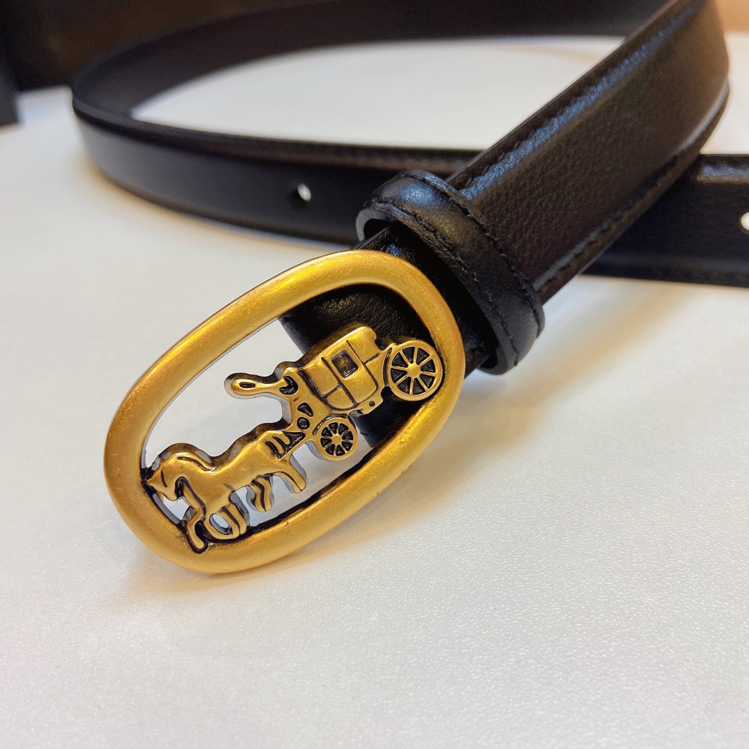 Elegant and Practical 2023 Coach Prosthetic Quest Watch with Refined Design - 图片 4