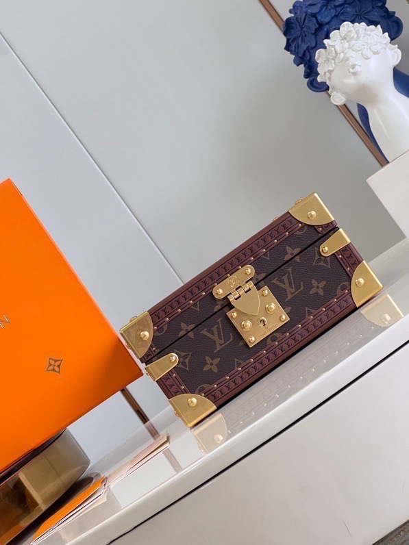 Louis Vuitton Monogram Canvas Jewelry Box with S-lock - Chestnut 2 i1697858905 3256 0