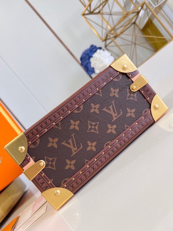 Louis Vuitton Monogram Canvas Jewelry Box with S-lock - Chestnut 7 i1697858905 639 5