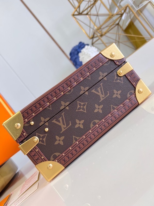 Louis Vuitton Monogram Canvas Jewelry Box with S-lock - Chestnut 3 i1697858905 6718 1