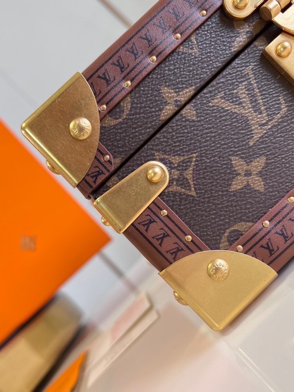 Louis Vuitton Monogram Canvas Jewelry Box with S-lock - Chestnut 6 i1697858905 7365 4