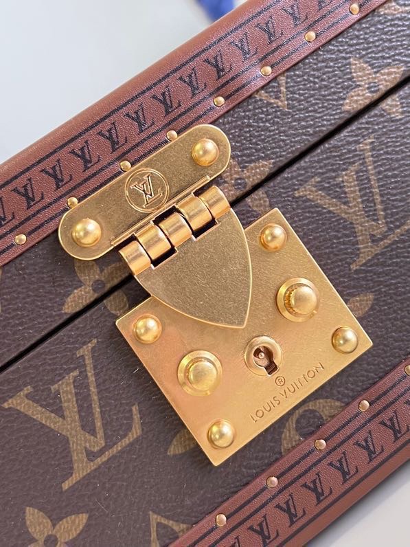 Louis Vuitton Monogram Canvas Jewelry Box with S-lock - Chestnut 5 i1697858905 8021 3