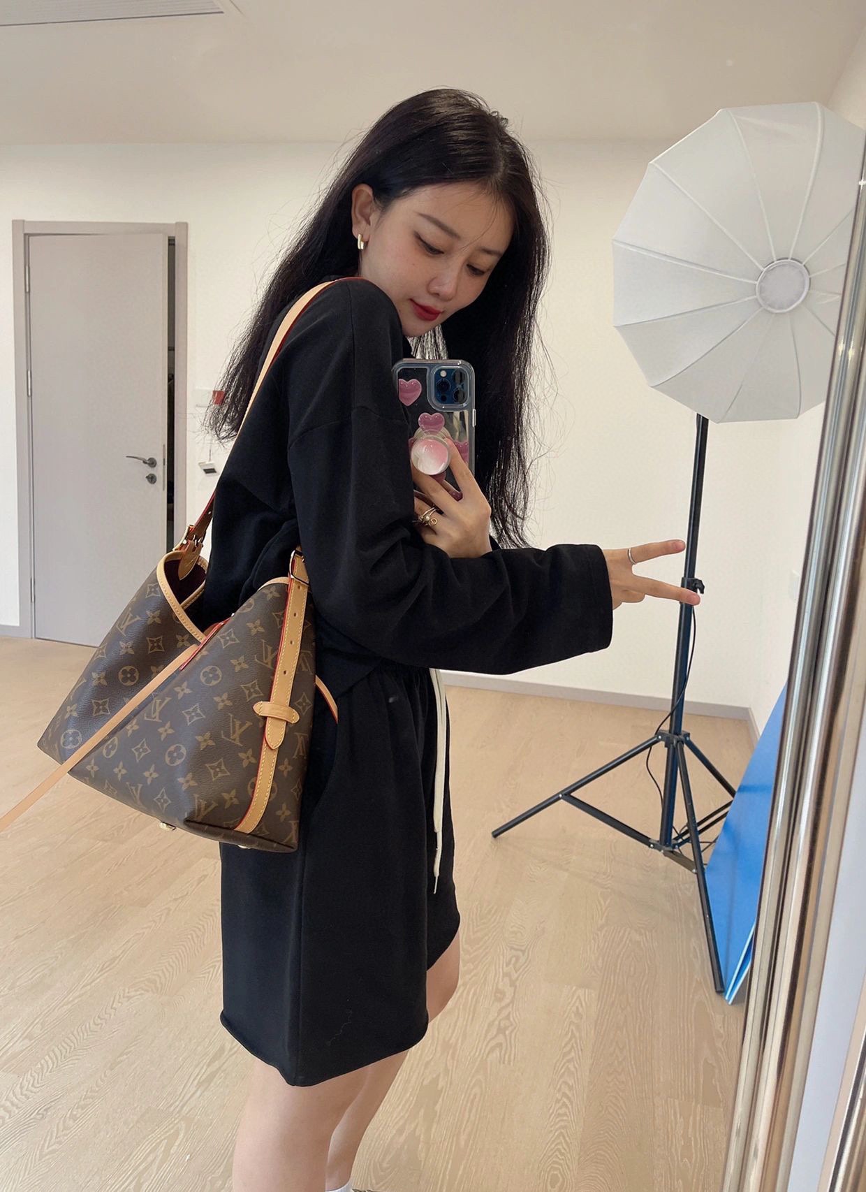 Louis Vuitton Luxury Handbag Collection 7