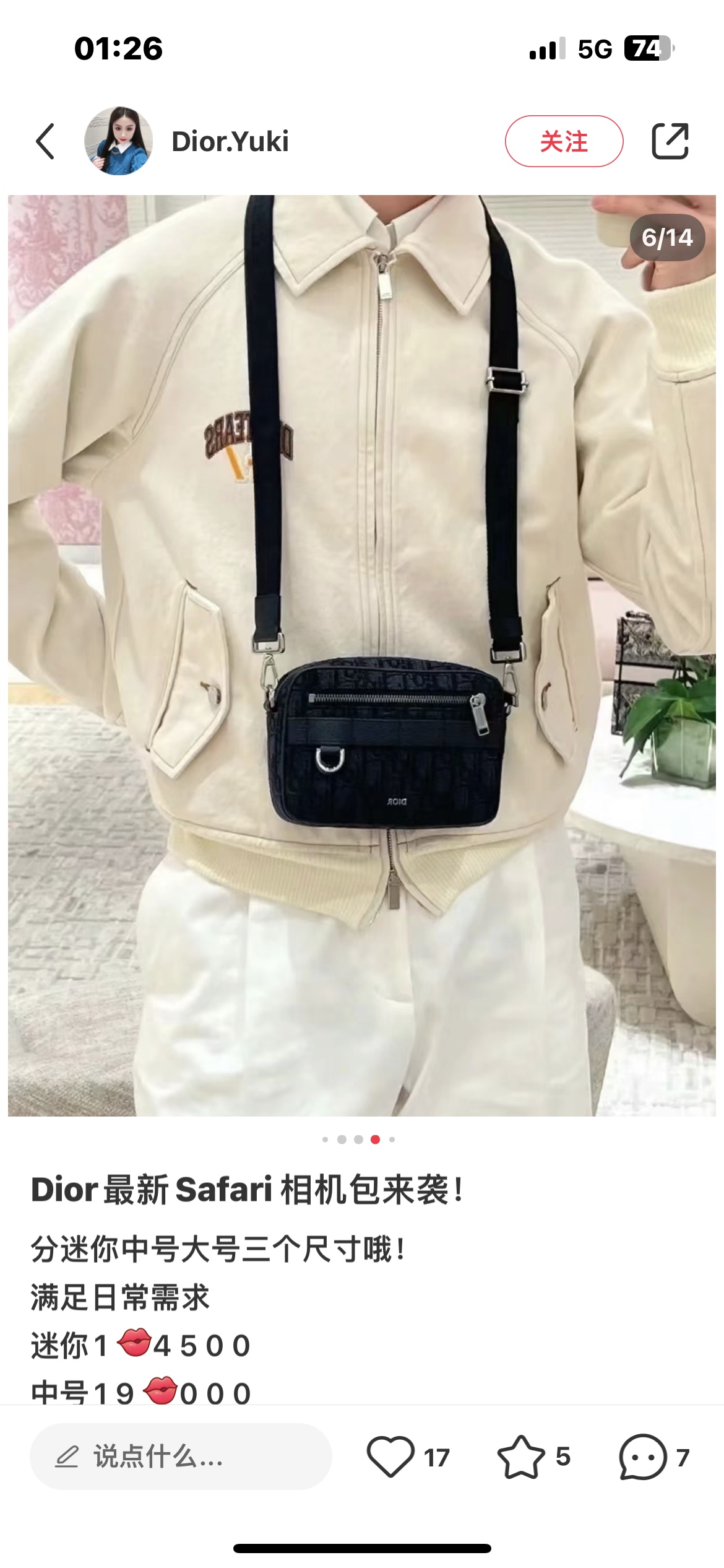 Dior Style Bag style reference detail image 3 from source 776387