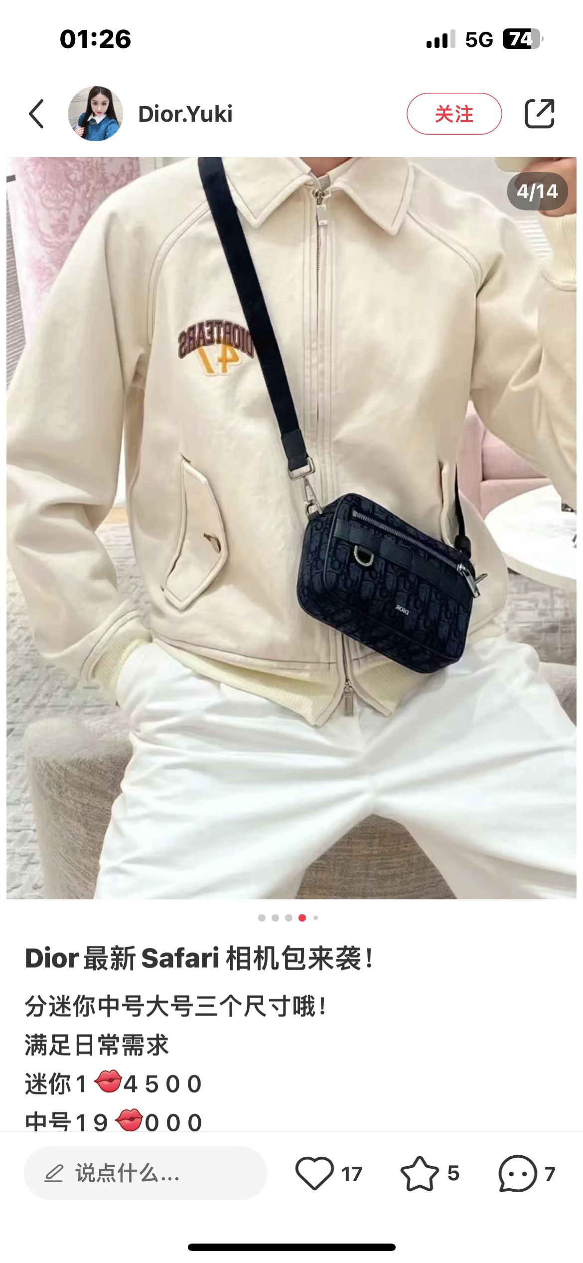 Dior Style Bag style reference detail image 2 from source 776387