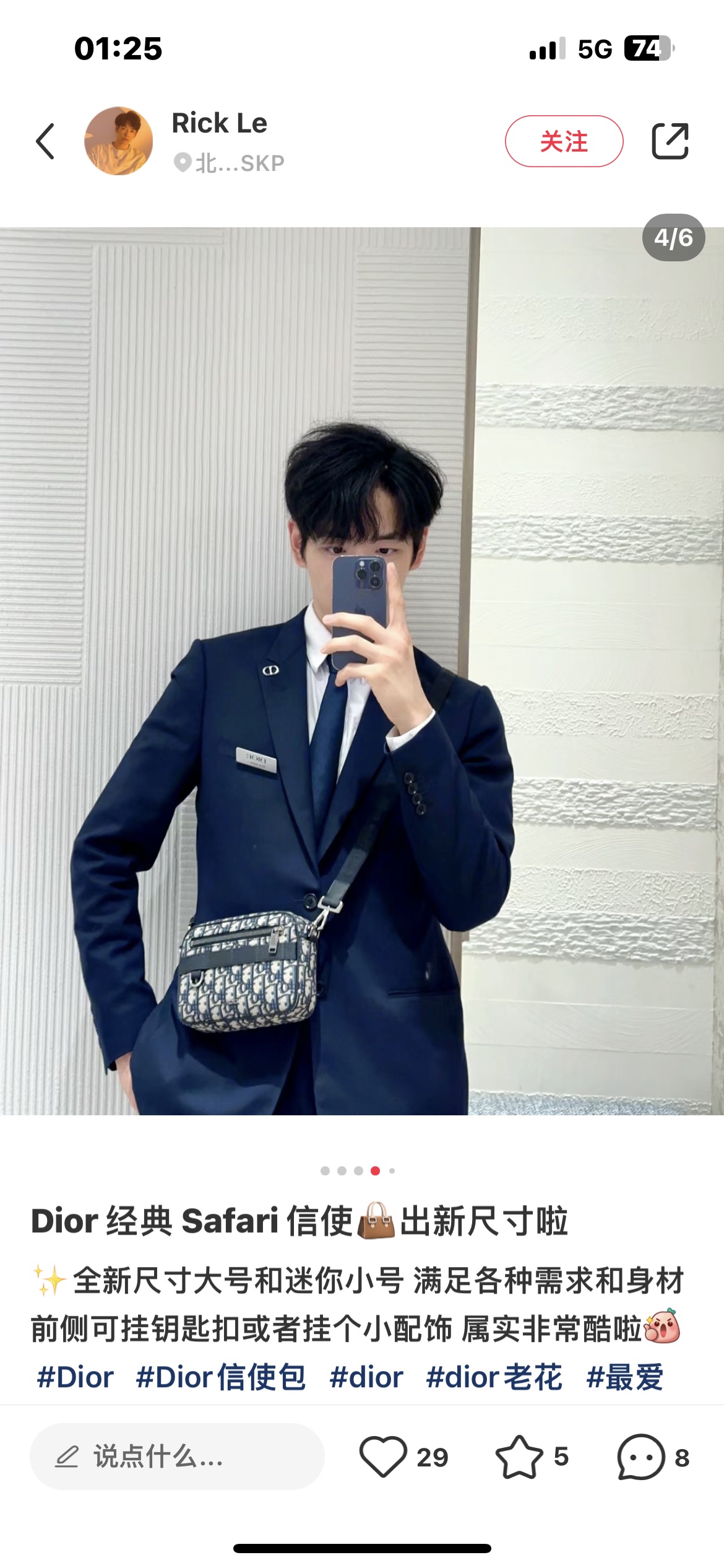 Dior Style Bag style reference detail image 1 from source 776385