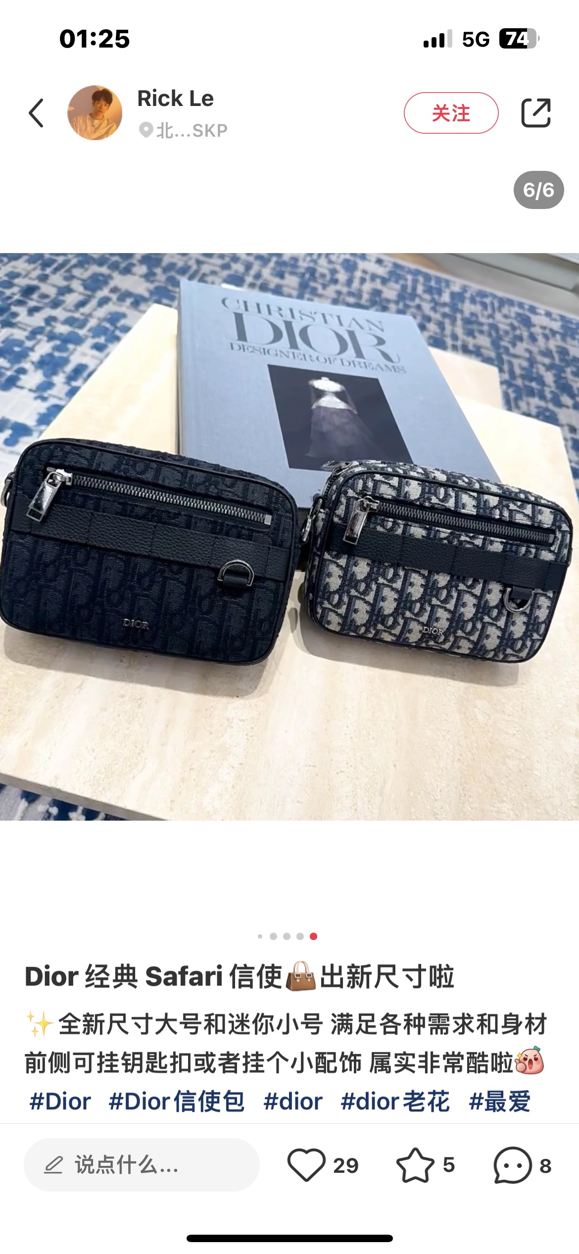 Dior Style Bag style reference detail image 4 from source 776385