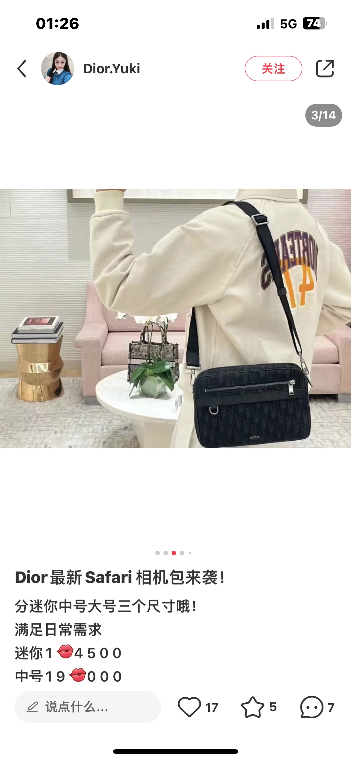Dior Style Bag style reference detail image 1 from source 776379