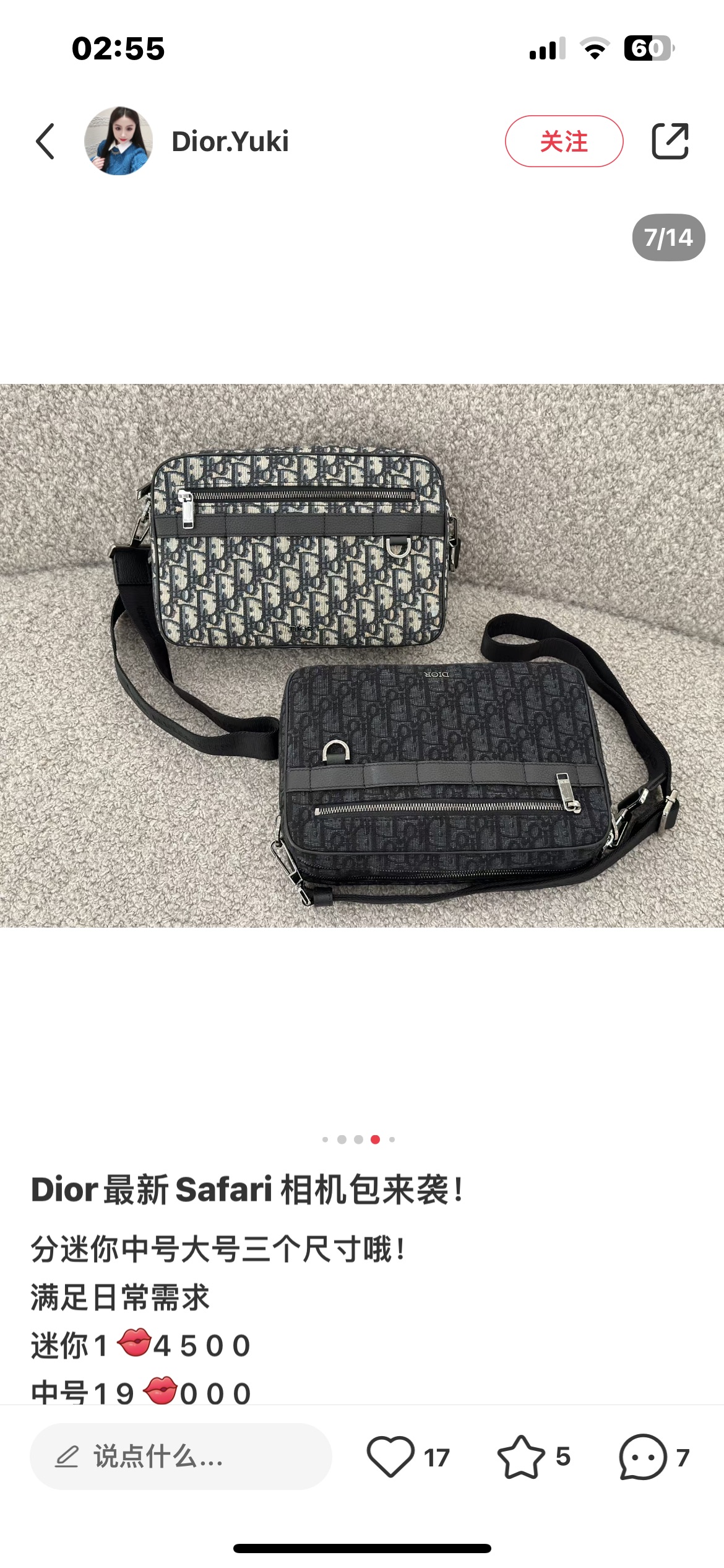 Dior Style Bag style reference detail image 4 from source 776379