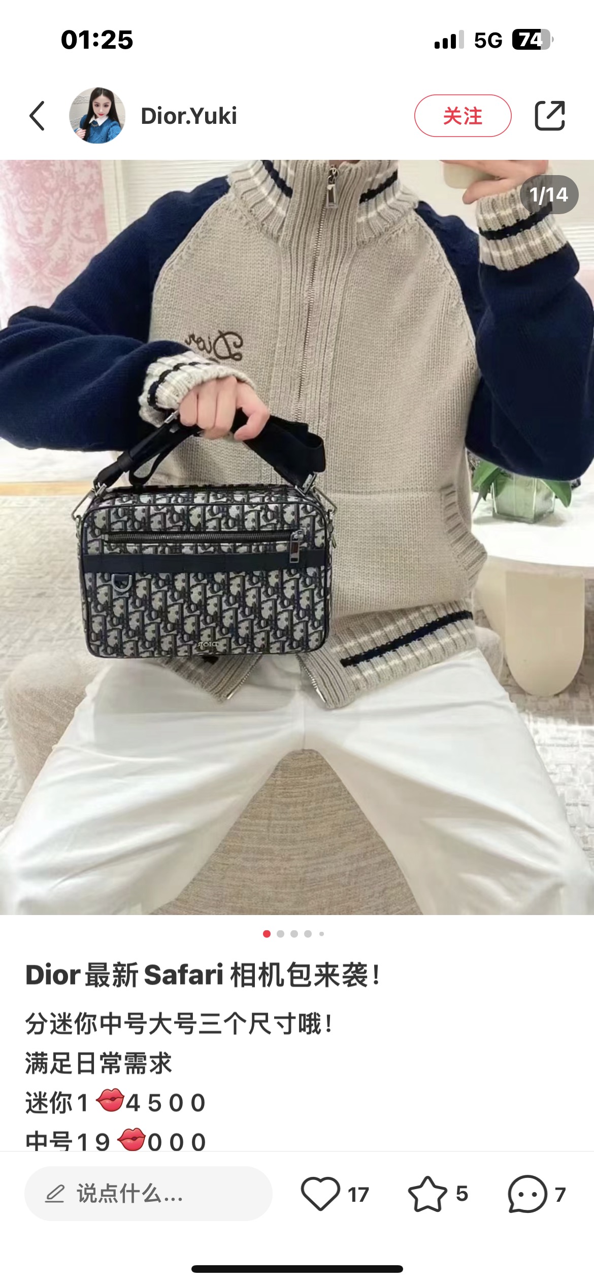 Dior Style Bag style reference detail image 1 from source 776377