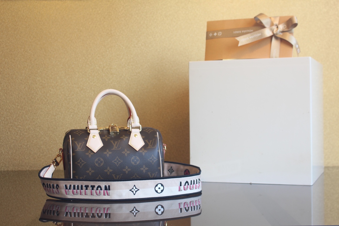 Louis Vuitton LV Speedy Bags Handbags PVC M45957