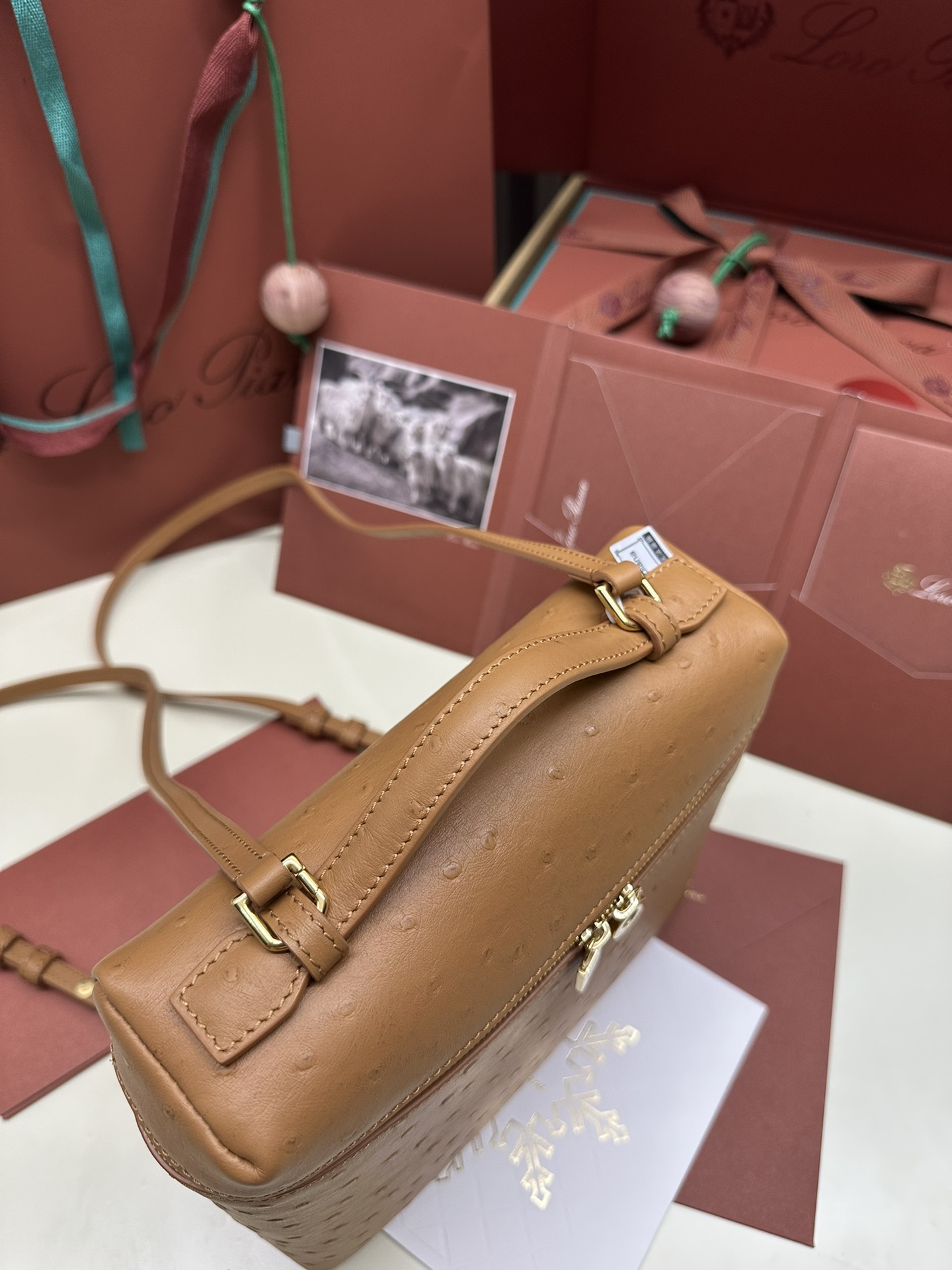 Luxurious Loro Piana Ostrich Handbag with Gold Buttons and Extra Pocket - 图片 5