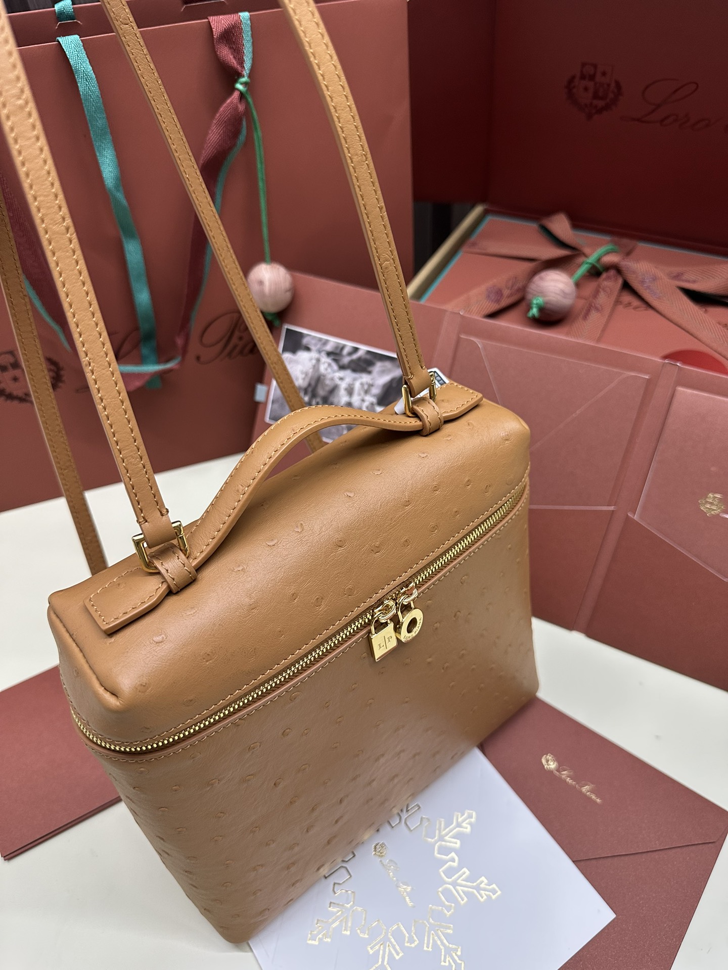 Luxurious Loro Piana Ostrich Handbag with Gold Buttons and Extra Pocket - 图片 7