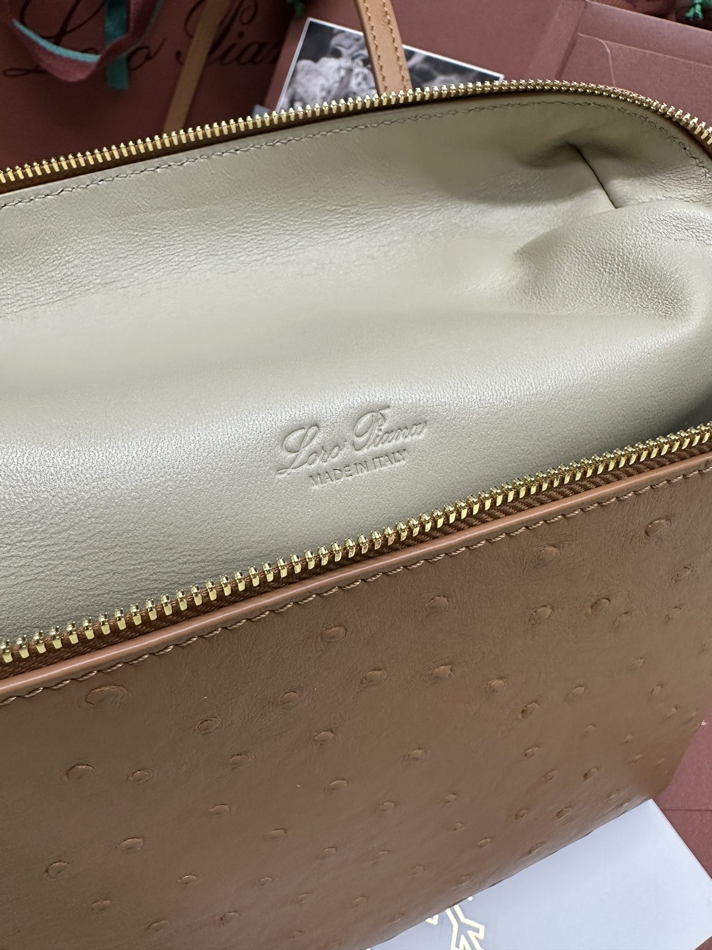 Luxurious Loro Piana Ostrich Handbag with Gold Buttons and Extra Pocket - 图片 9