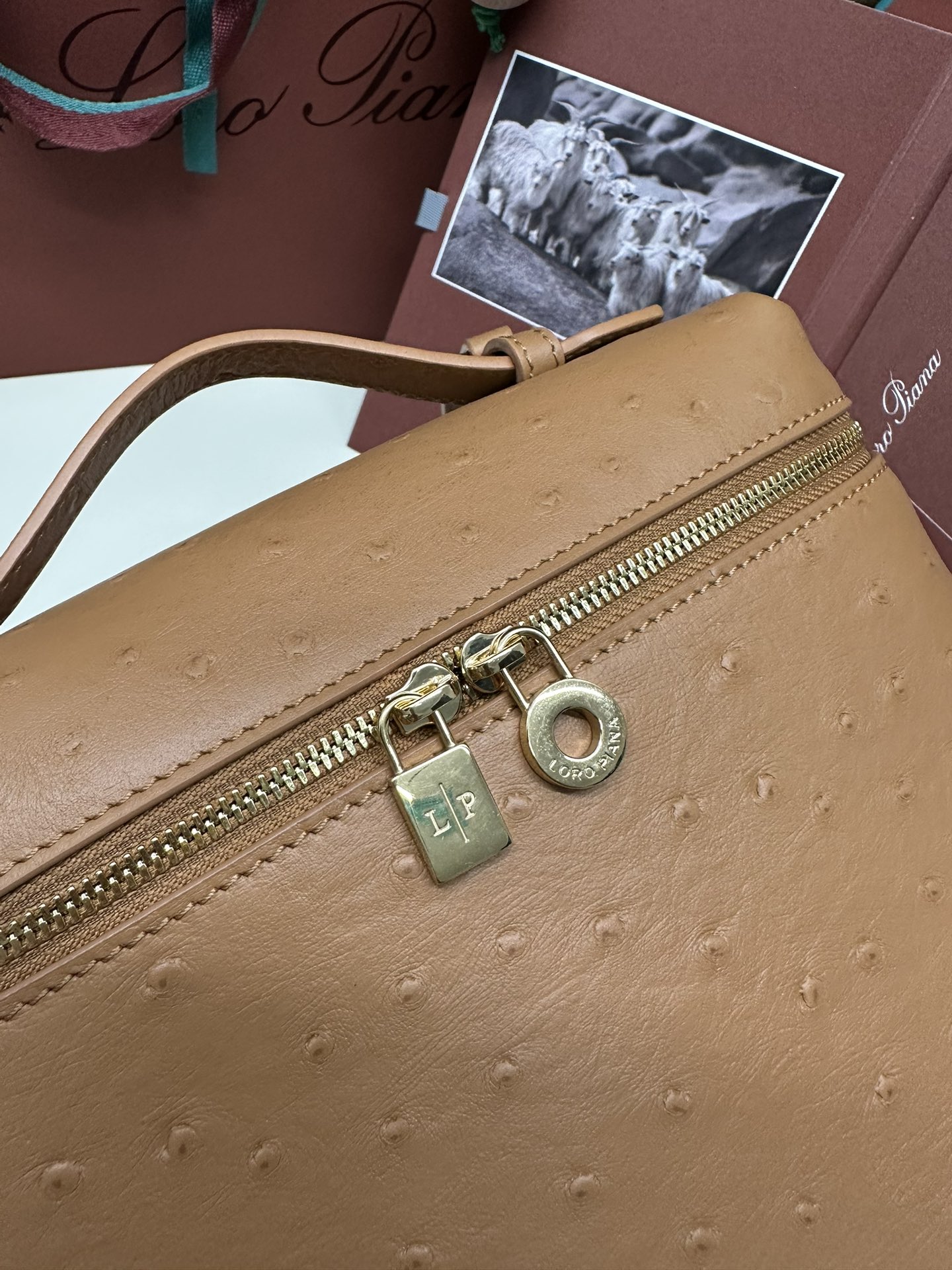 Luxurious Loro Piana Ostrich Handbag with Gold Buttons and Extra Pocket - 图片 6