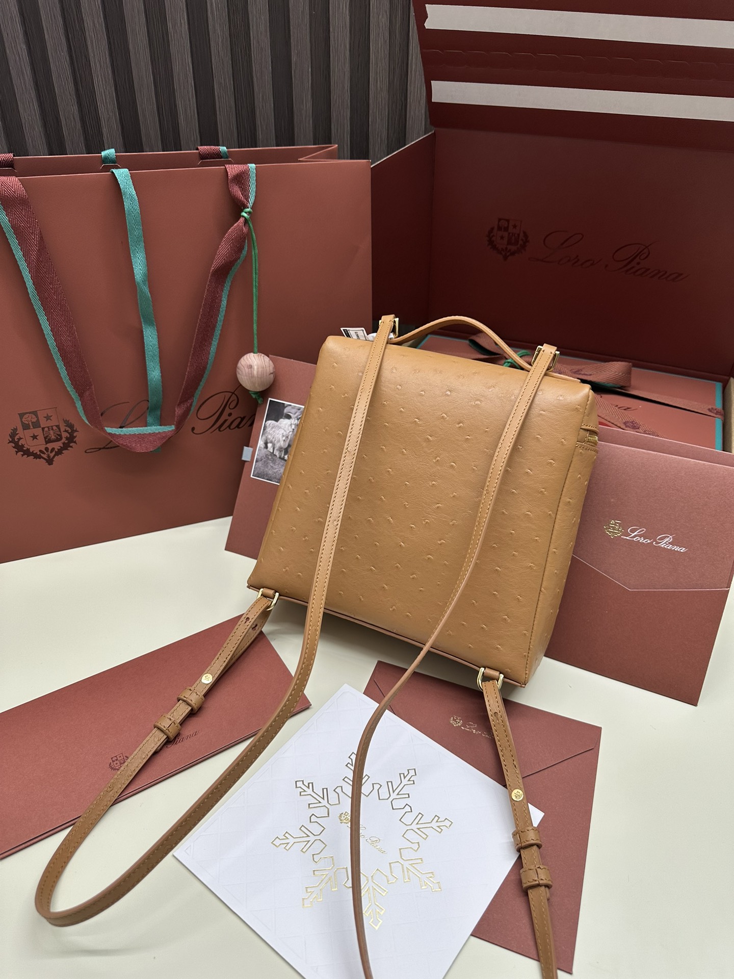 Luxurious Loro Piana Ostrich Handbag with Gold Buttons and Extra Pocket - 图片 2