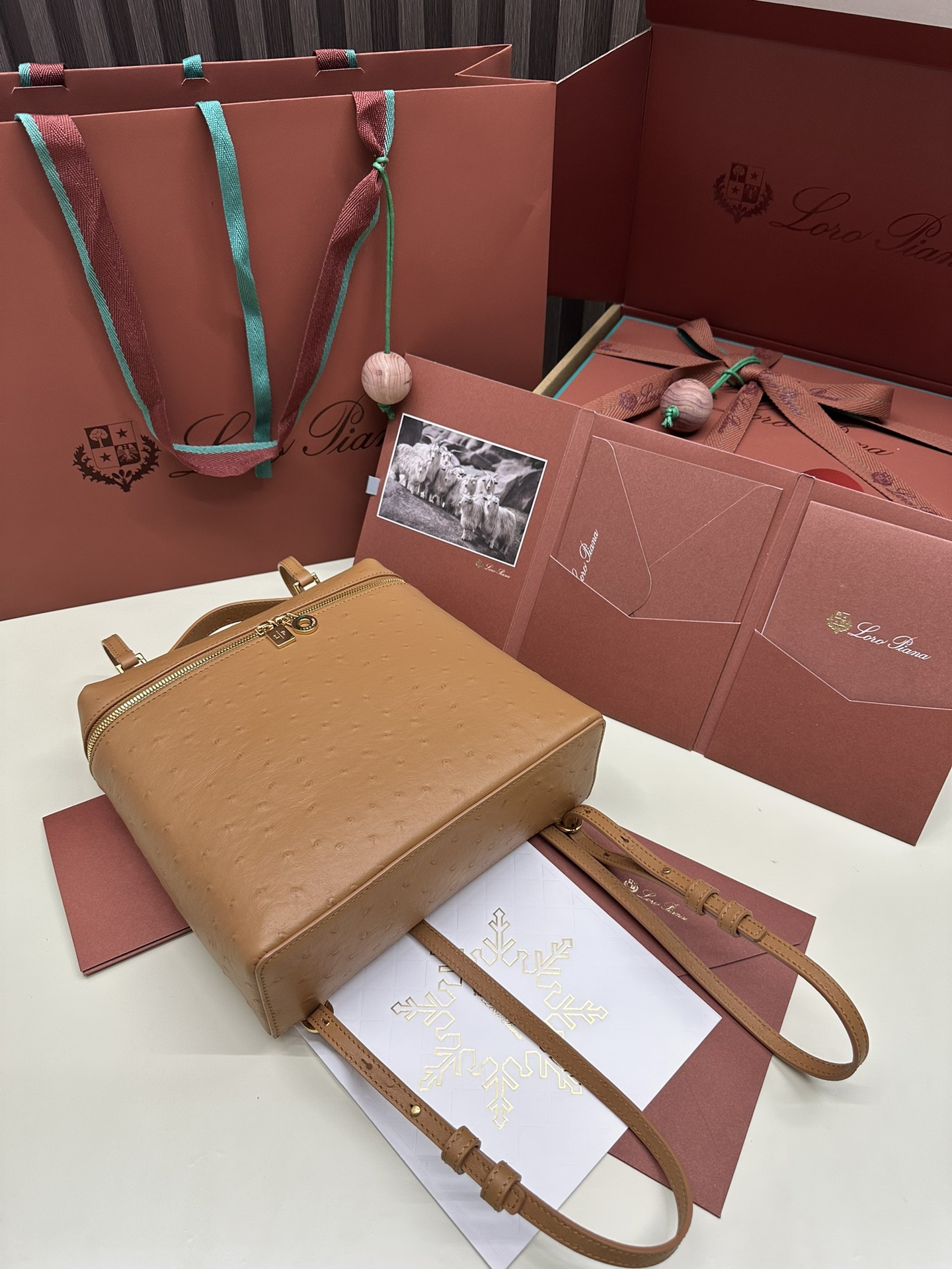 Luxurious Loro Piana Ostrich Handbag with Gold Buttons and Extra Pocket - 图片 3