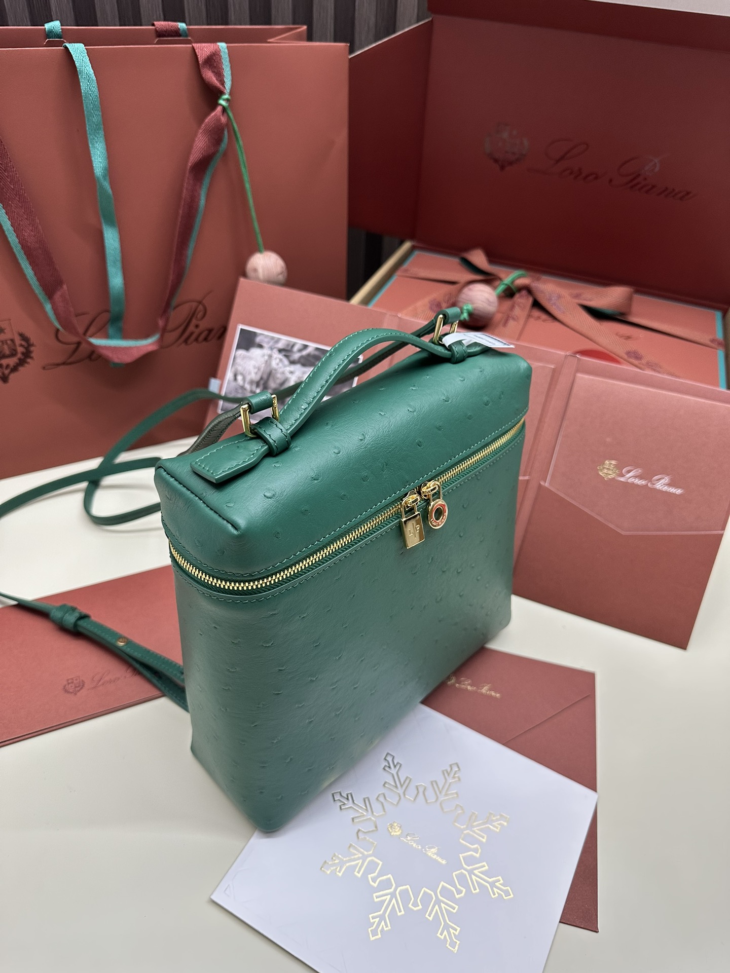 Loro Piana Ostrich Handbag with Gold Buttons and Extra Pocket - 图片 4