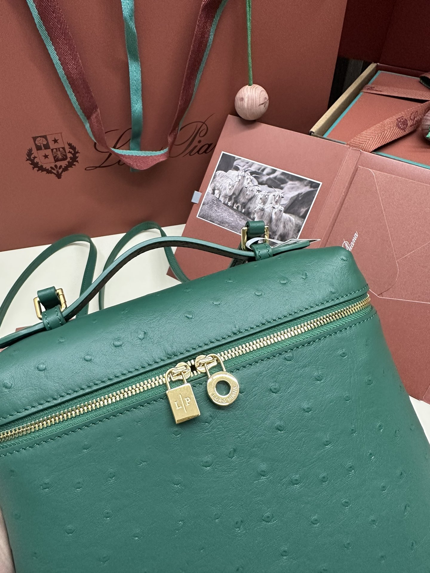 Loro Piana Ostrich Handbag with Gold Buttons and Extra Pocket - 图片 6