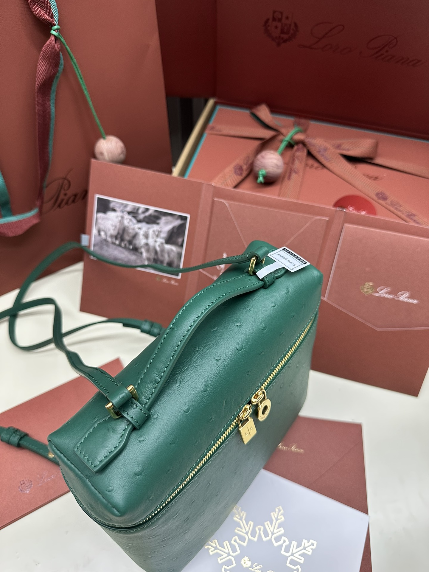 Loro Piana Ostrich Handbag with Gold Buttons and Extra Pocket - 图片 5