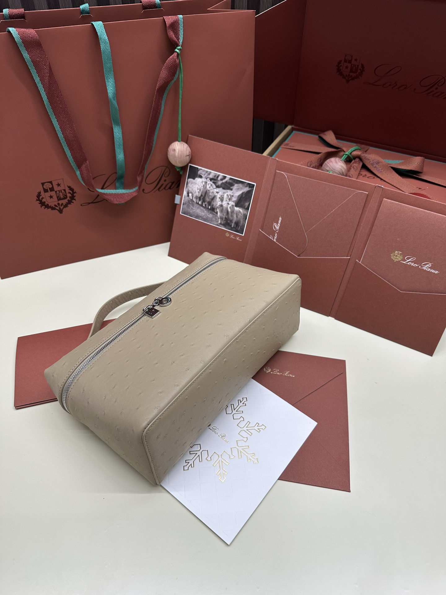 Loro Piana Ostrich Handbag with Extra Pocket and Silver Button - 图片 4