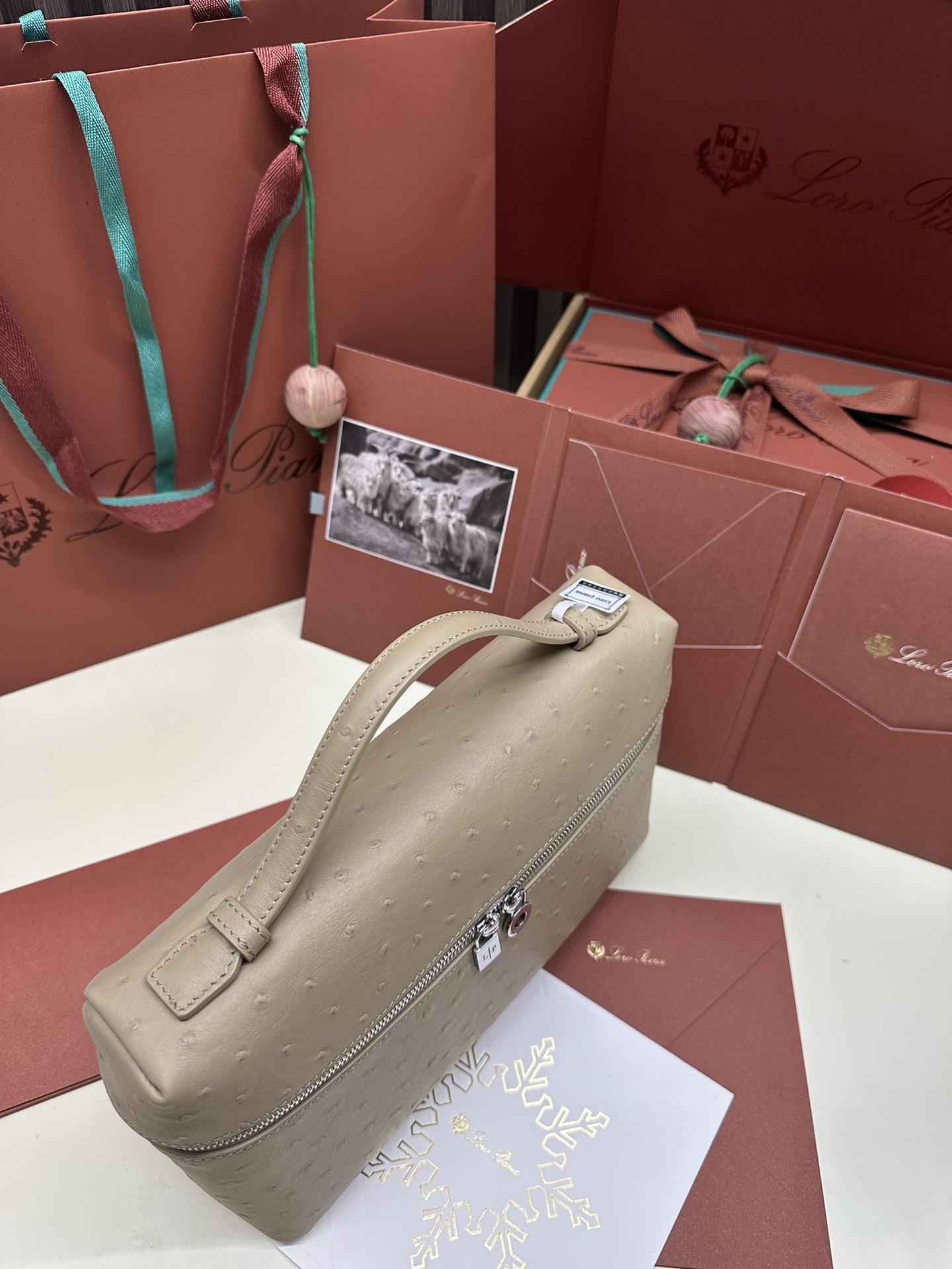 Loro Piana Ostrich Handbag with Extra Pocket and Silver Button - 图片 6