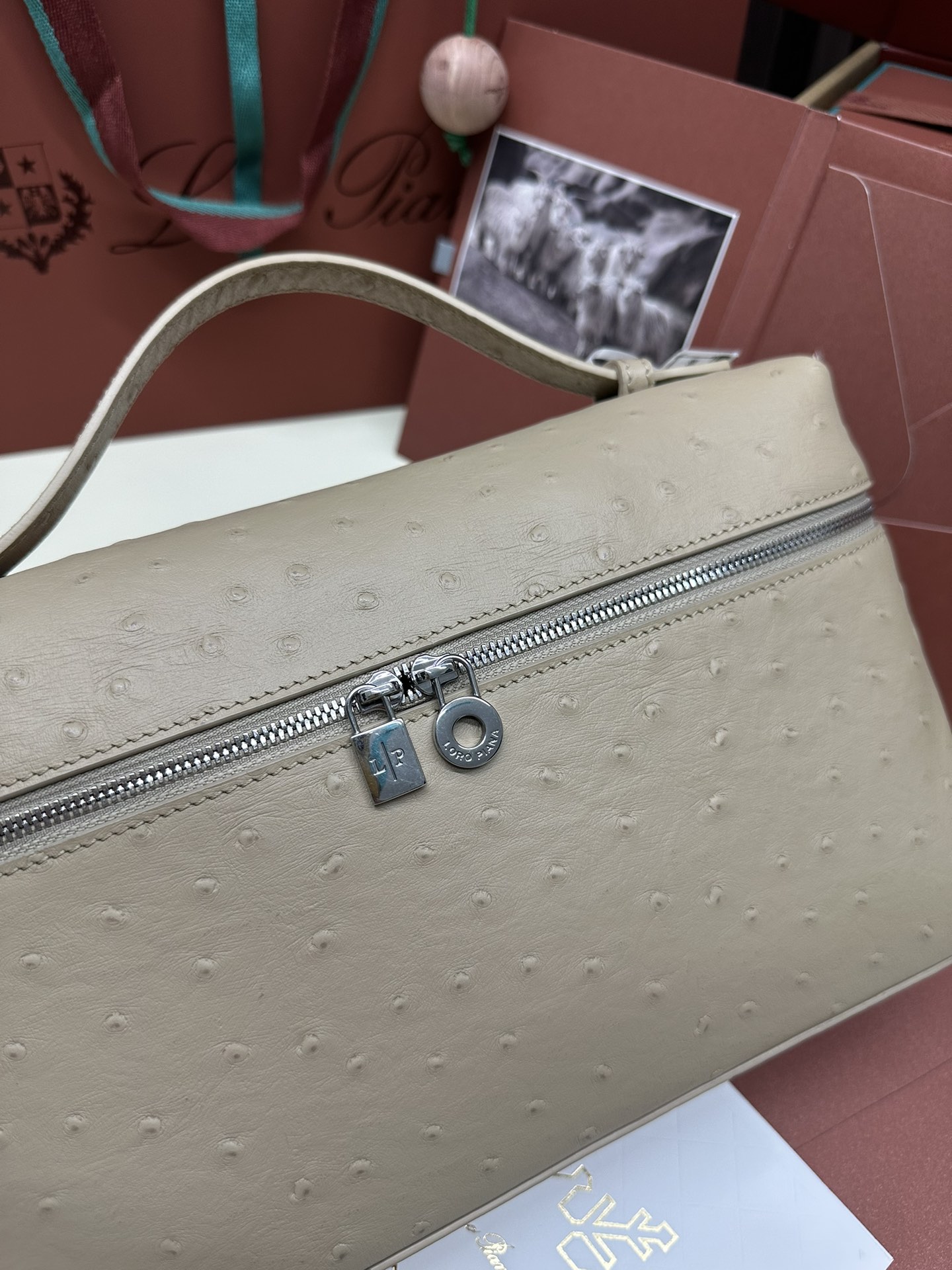 Loro Piana Ostrich Handbag with Extra Pocket and Silver Button - 图片 7