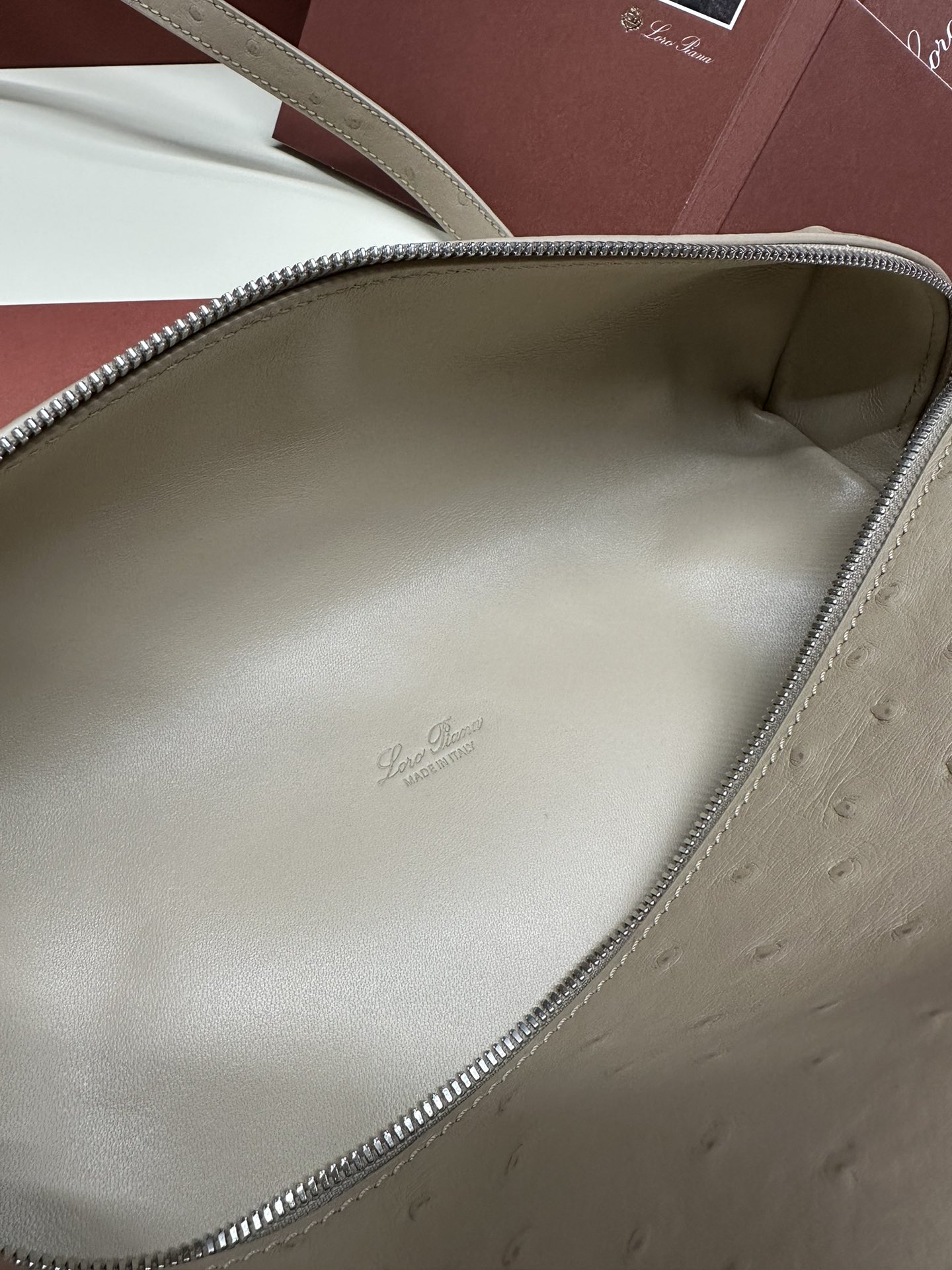 Loro Piana Ostrich Handbag with Extra Pocket and Silver Button - 图片 9
