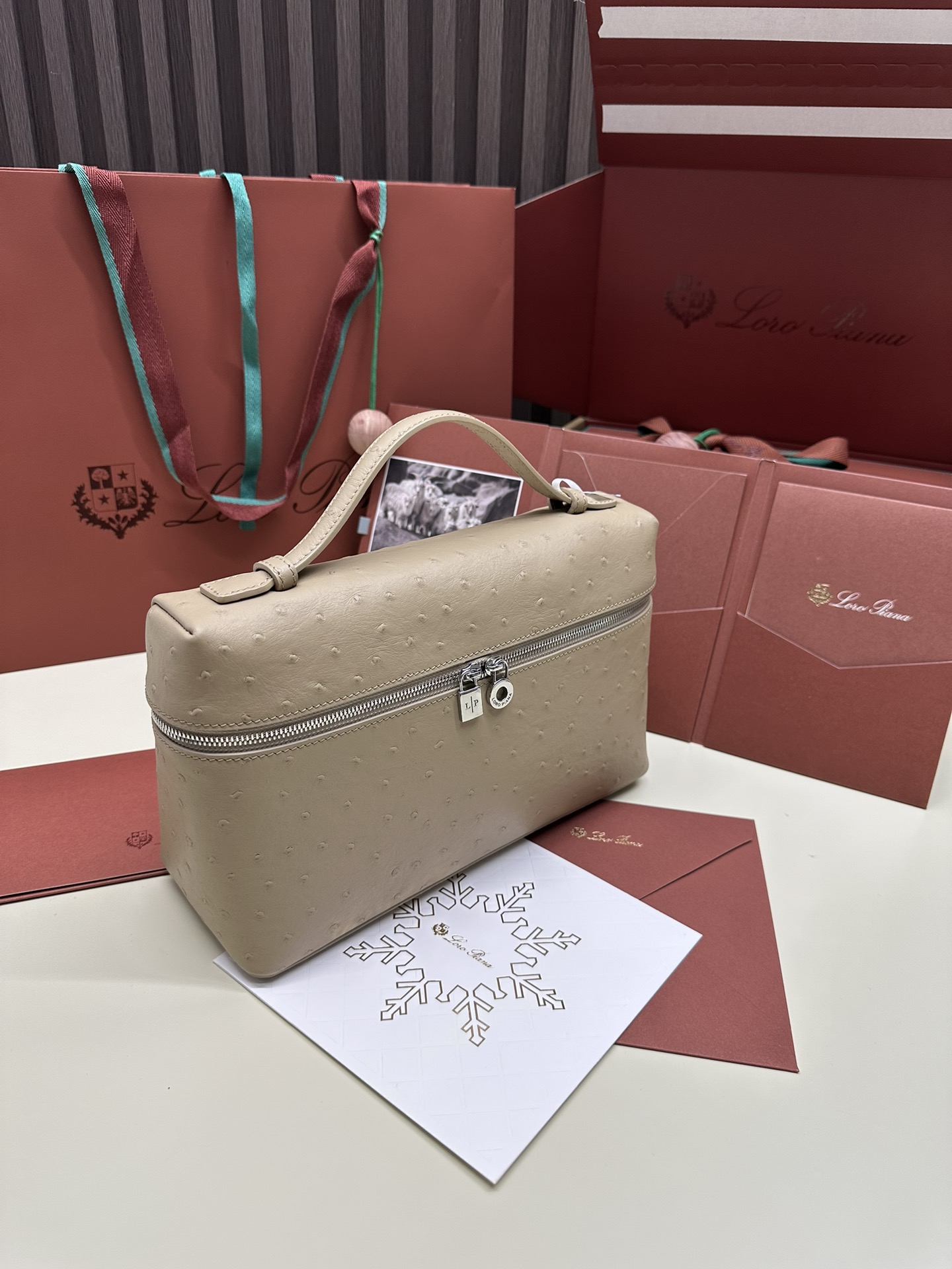 Loro Piana Ostrich Handbag with Extra Pocket and Silver Button - 图片 5