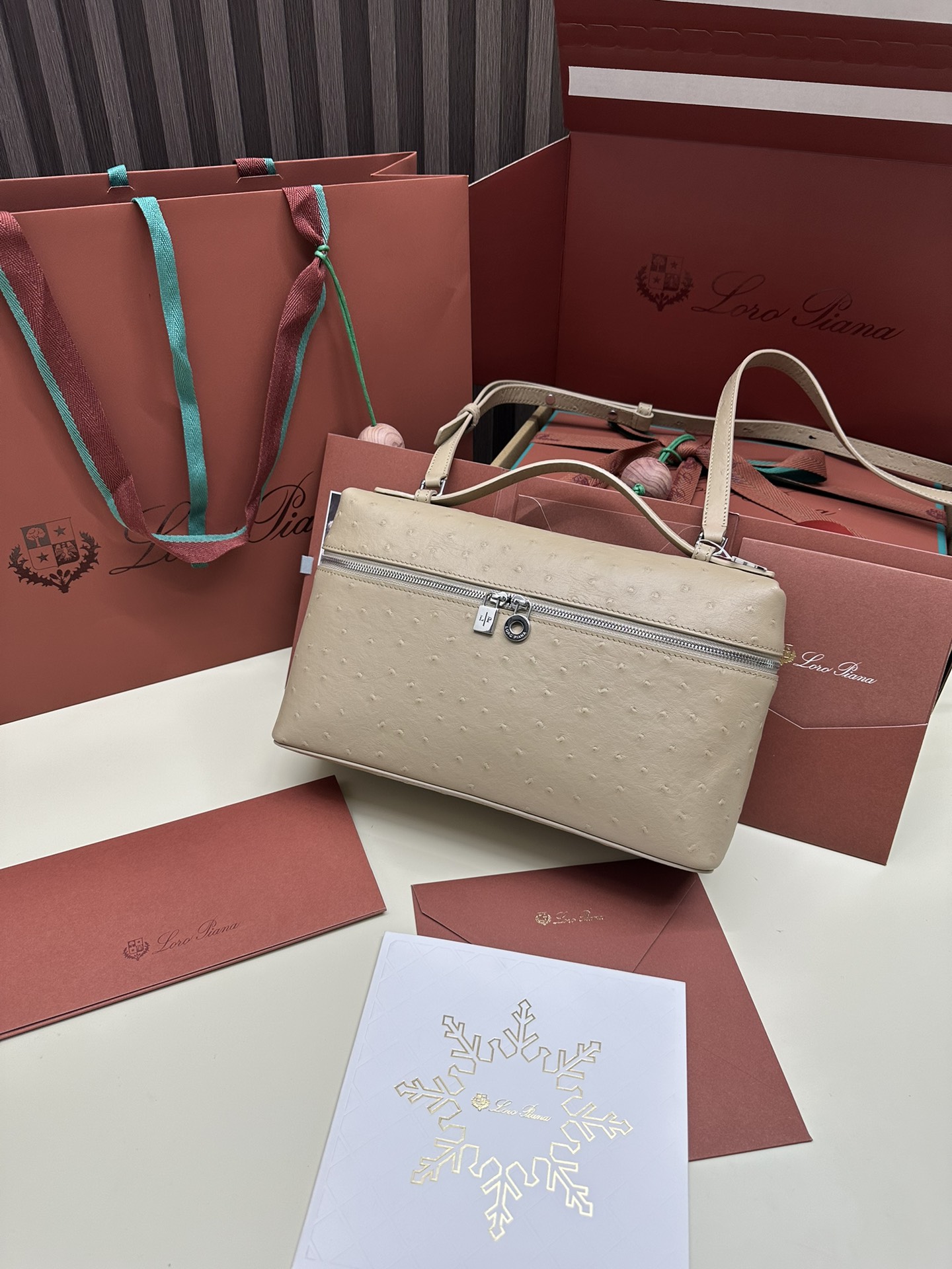 Loro Piana Ostrich Handbag with Extra Pocket and Silver Button - 图片 8