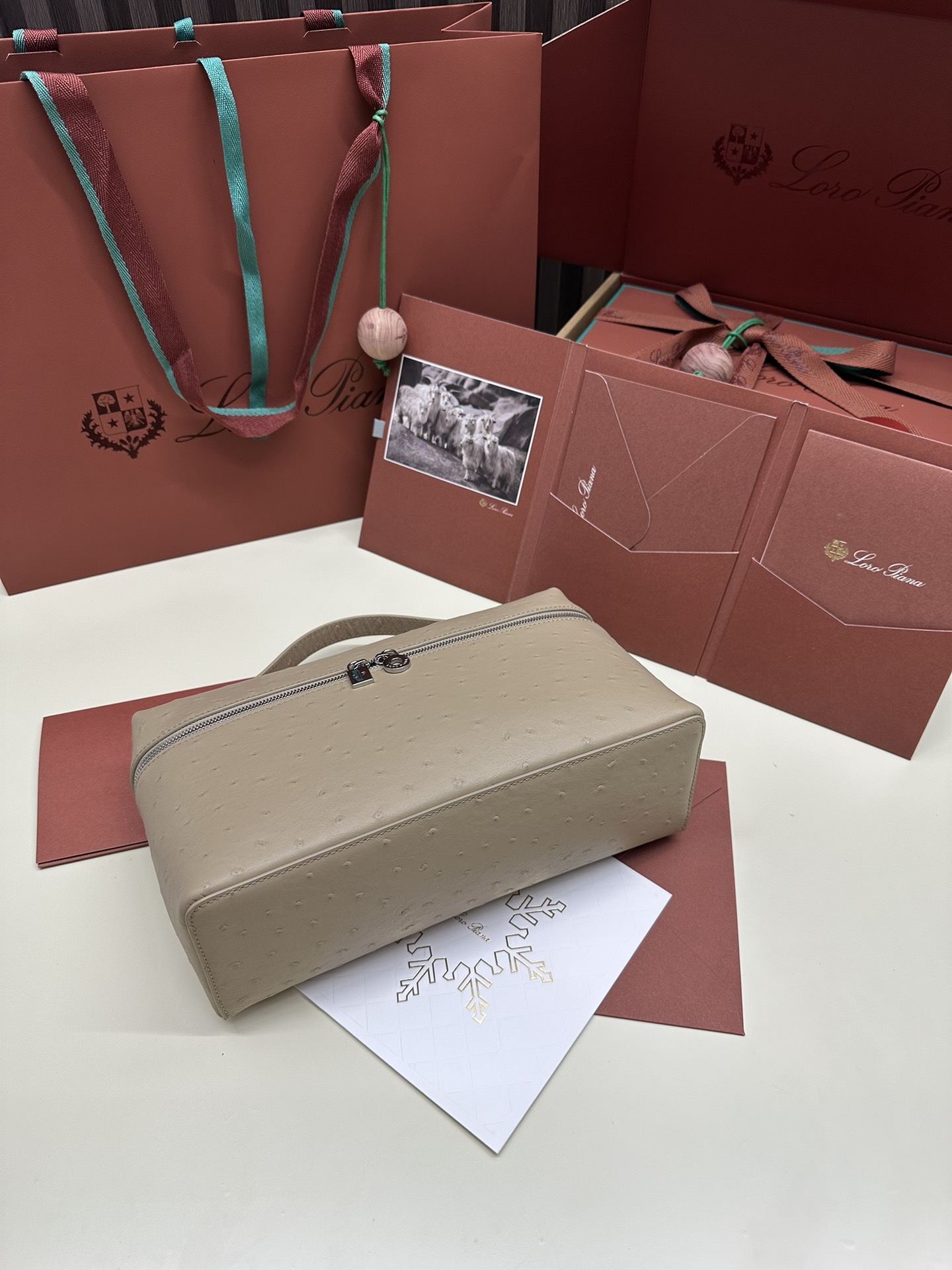 Loro Piana Ostrich Handbag with Extra Pocket and Silver Button - 图片 3