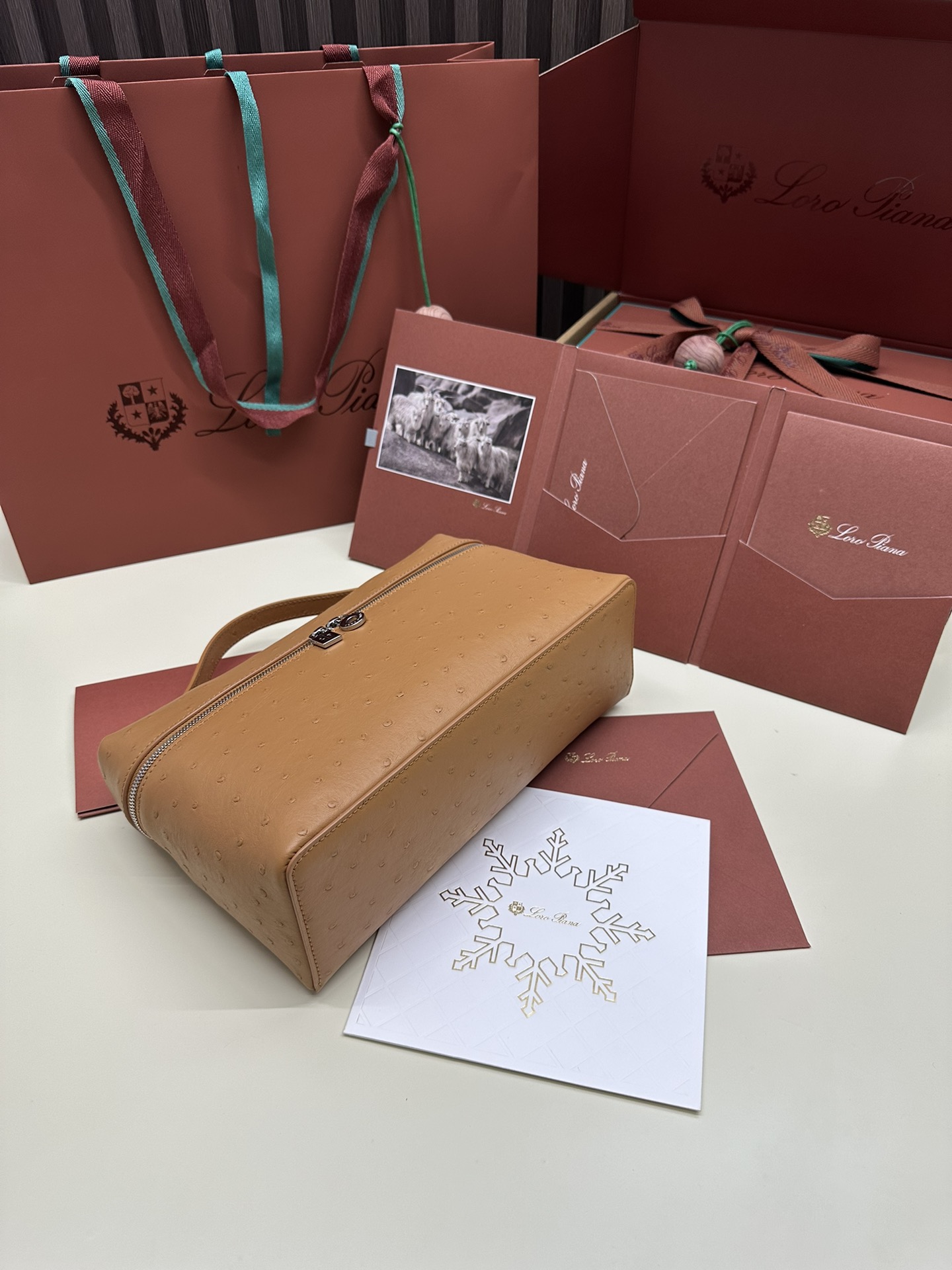 Luxurious Loro Piana Handbag with Ostrich Leather and My Charms Zipper - 图片 4