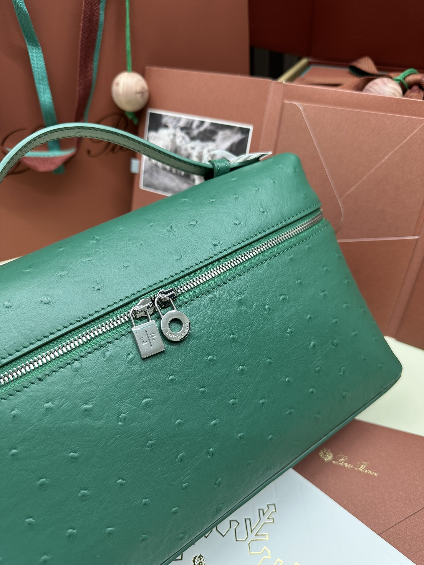 Loro Piana Ostrich Handbag with Extra Pocket and Silver Button - 图片 5