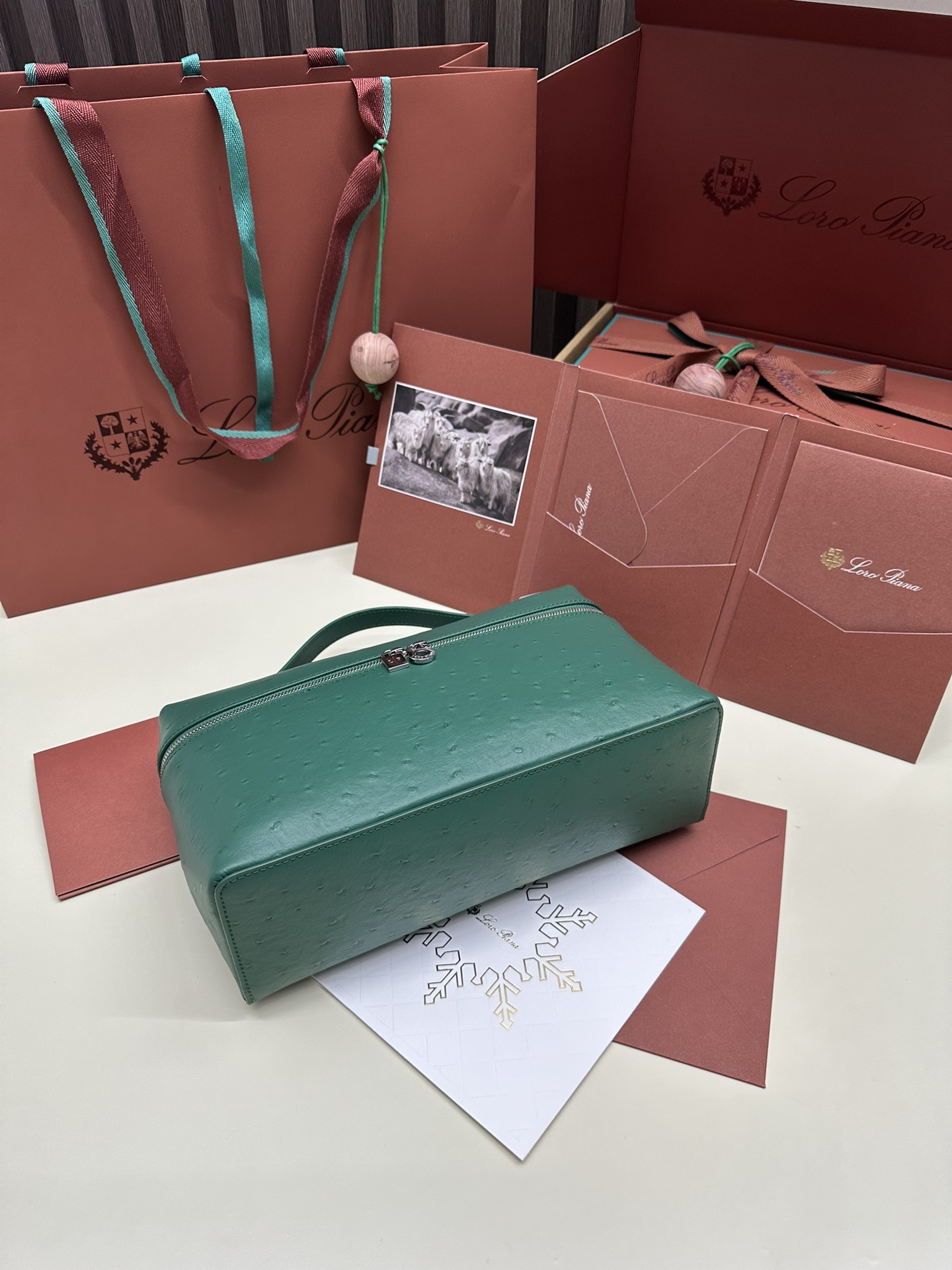 Loro Piana Ostrich Handbag with Extra Pocket and Silver Button - 图片 3