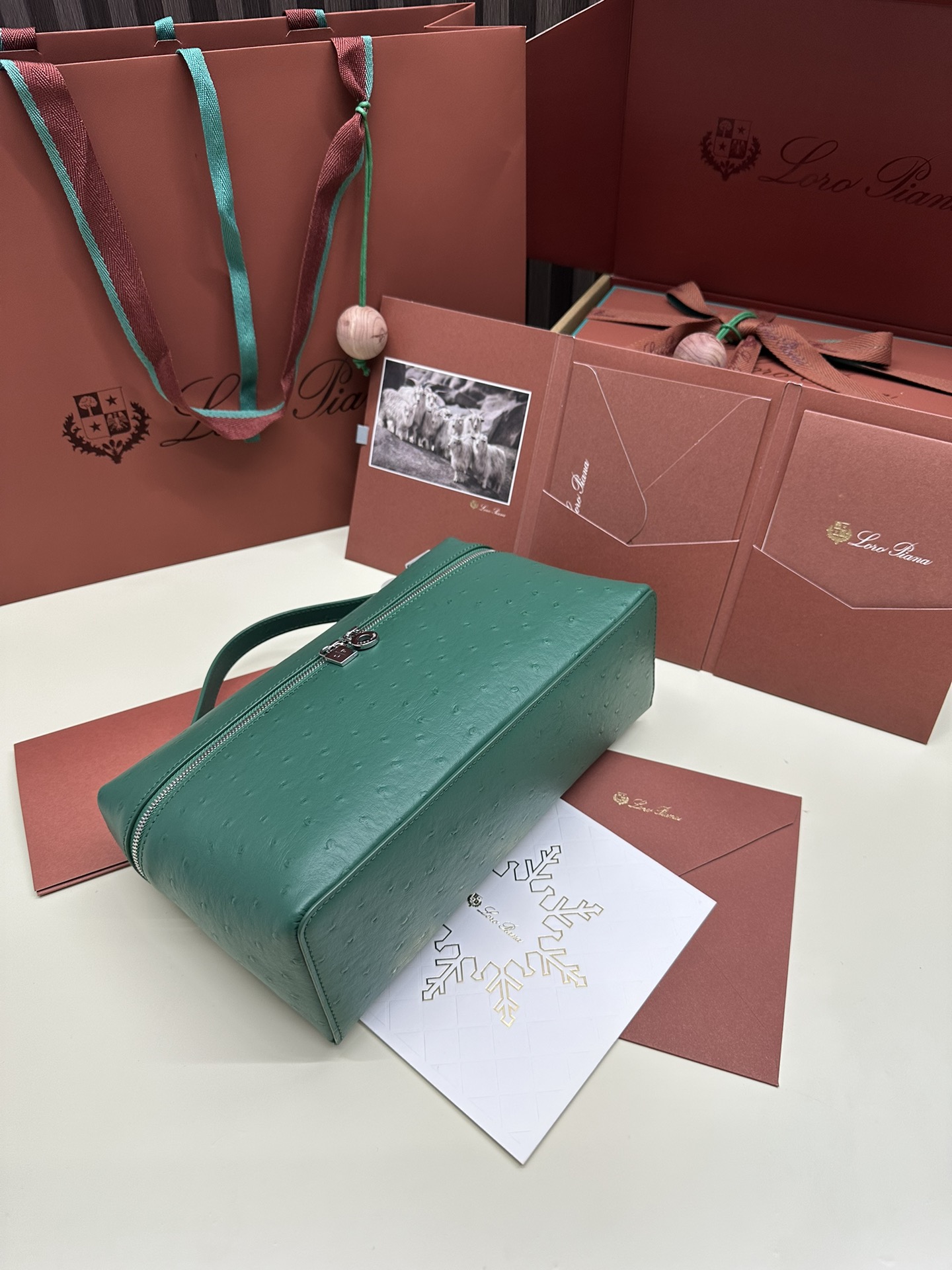 Loro Piana Ostrich Handbag with Extra Pocket and Silver Button - 图片 4