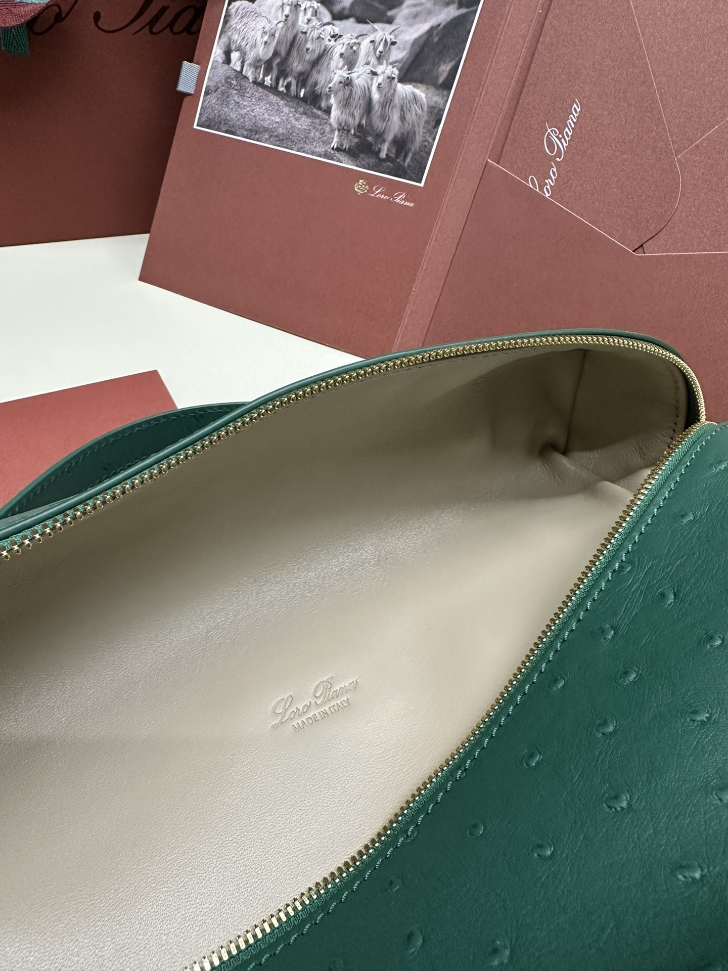 Loro Piana Ostrich Handbag with Extra Pocket and Gold Button - 图片 8