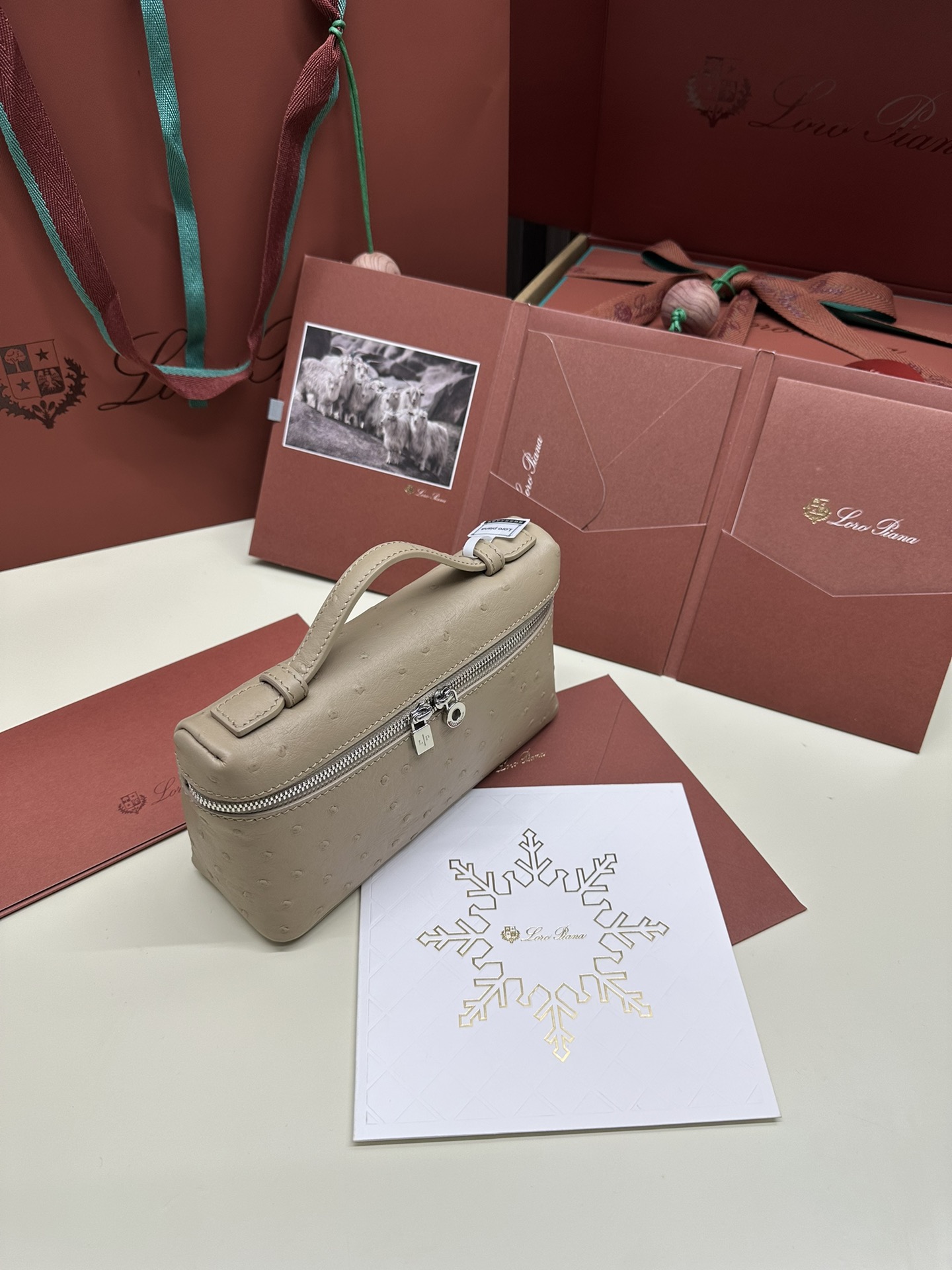 Luxury Ostrich Leather Handbag with Extra Pocket – Silver Button - 图片 5