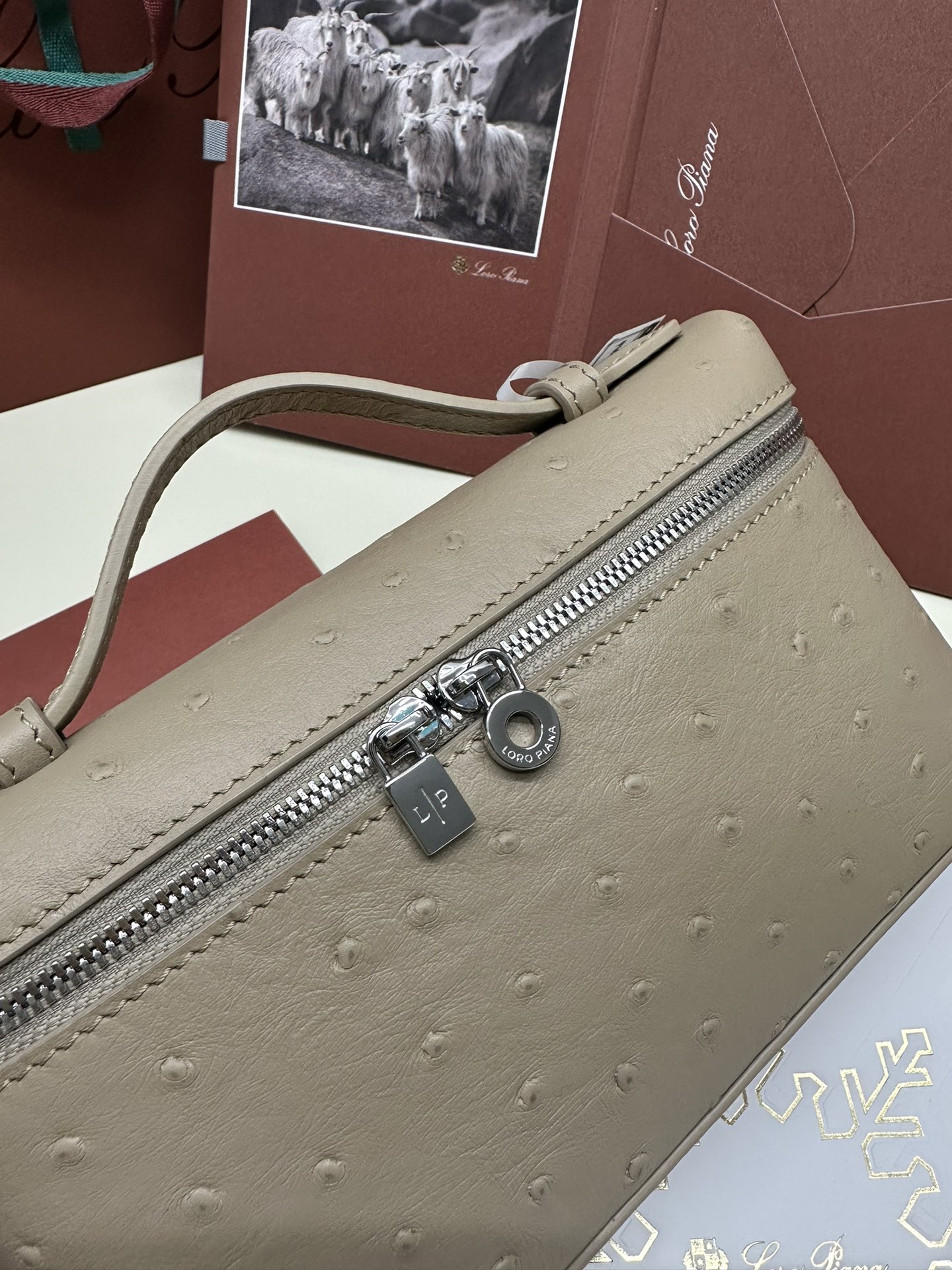 Luxury Ostrich Leather Handbag with Extra Pocket – Silver Button - 图片 7