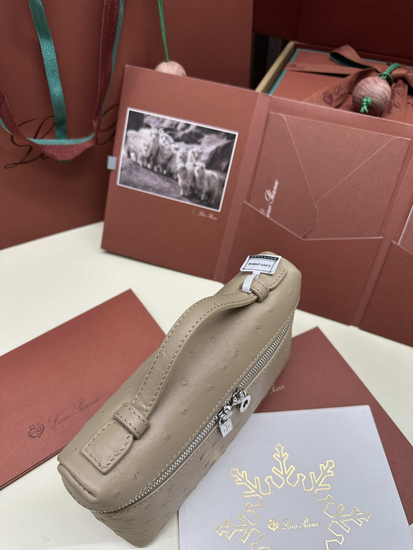 Luxury Ostrich Leather Handbag with Extra Pocket – Silver Button - 图片 6