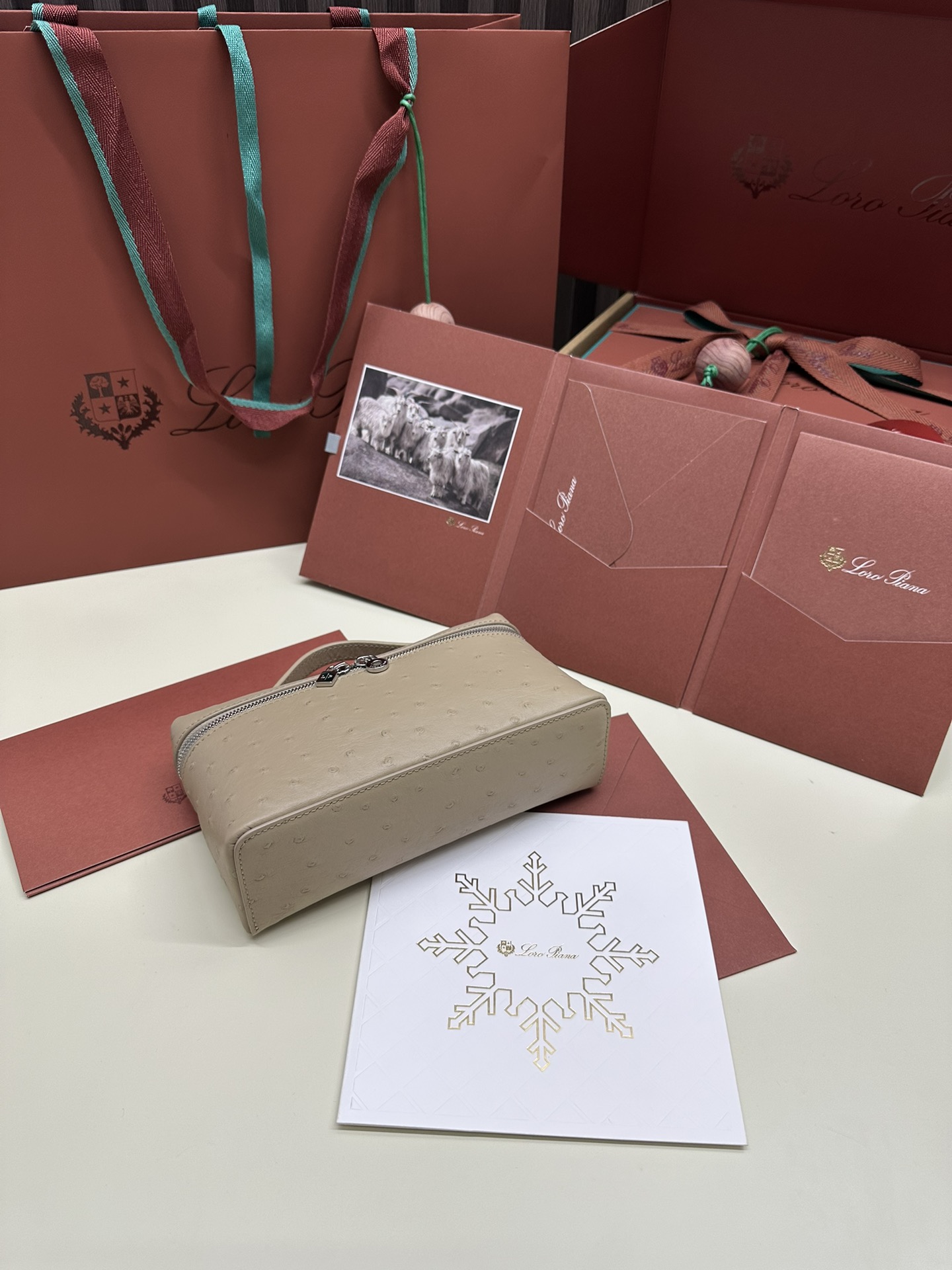 Luxury Ostrich Leather Handbag with Extra Pocket – Silver Button - 图片 3