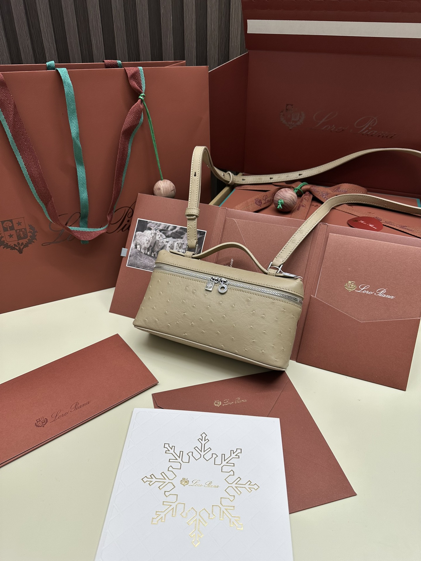 Luxury Ostrich Leather Handbag with Extra Pocket – Silver Button - 图片 9