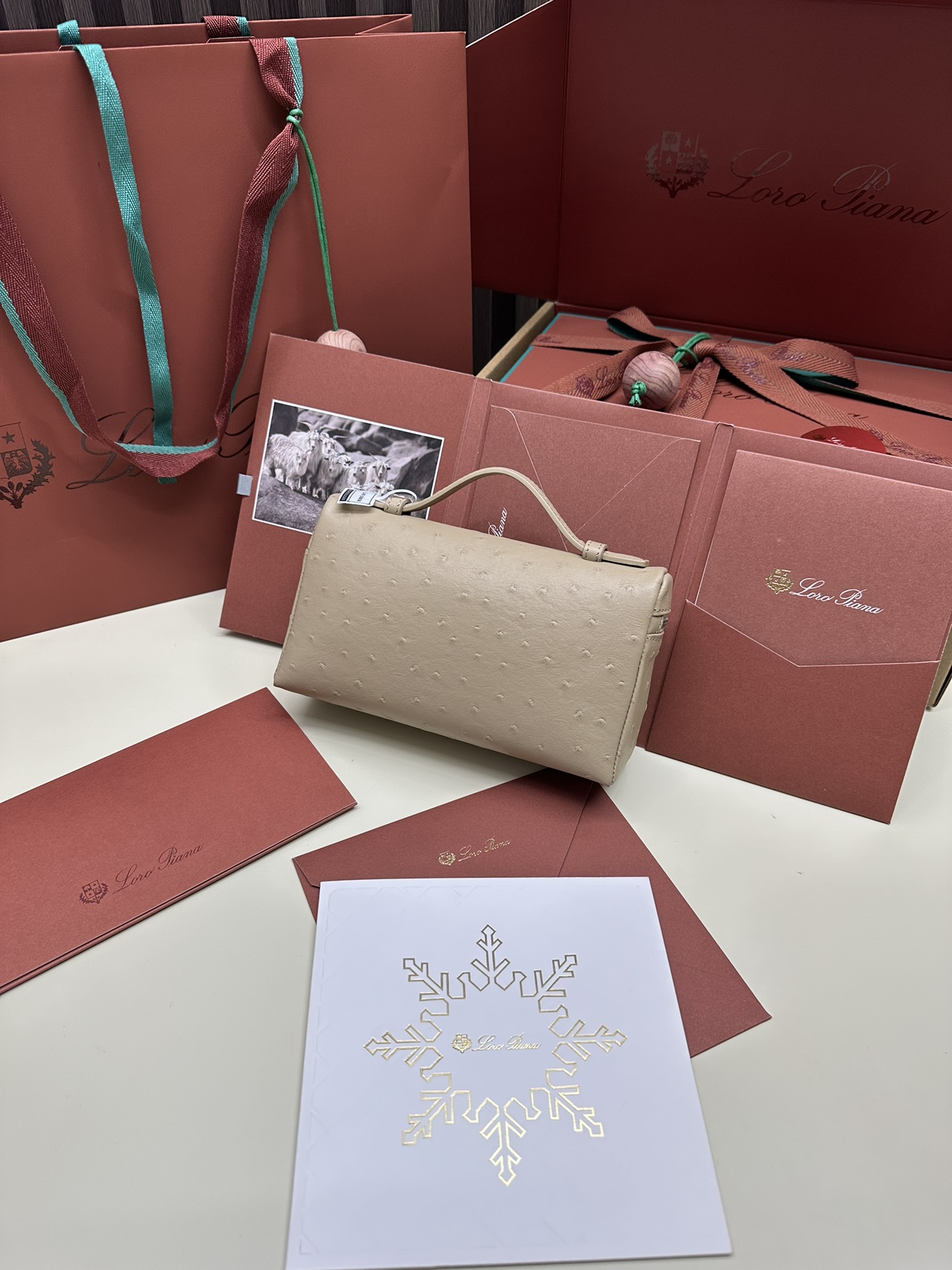 Luxury Ostrich Leather Handbag with Extra Pocket – Silver Button - 图片 2