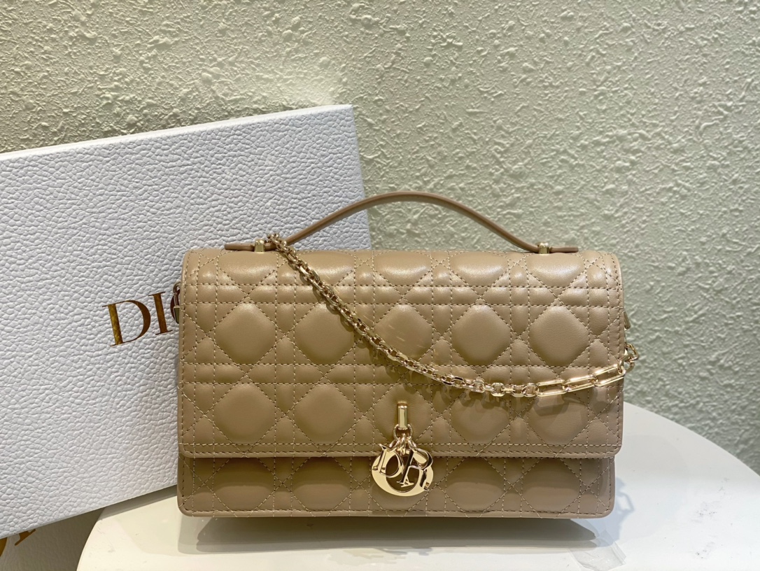 Dior Bolsos de mano Bolsos de embrague Piel de oveja Colección primavera Cadena