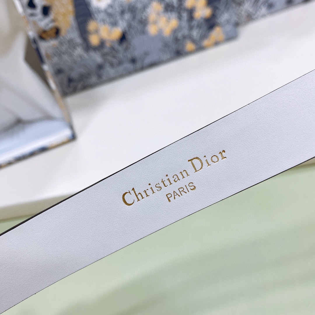 
d ior 24独家Montaigne CD 腰带扣
内侧饰以 Christian Dior Pari