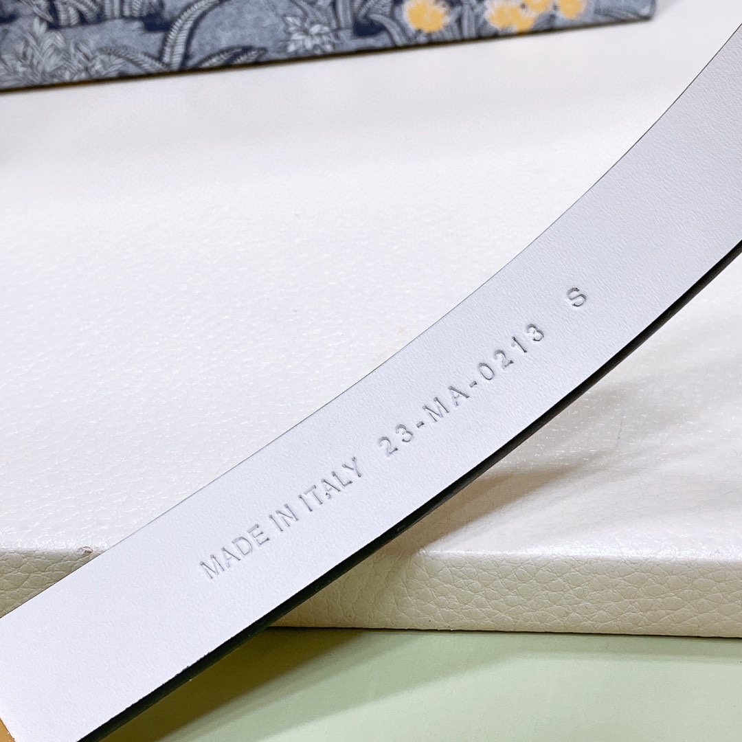 
d ior 24独家Montaigne CD 腰带扣
内侧饰以 Christian Dior Pari