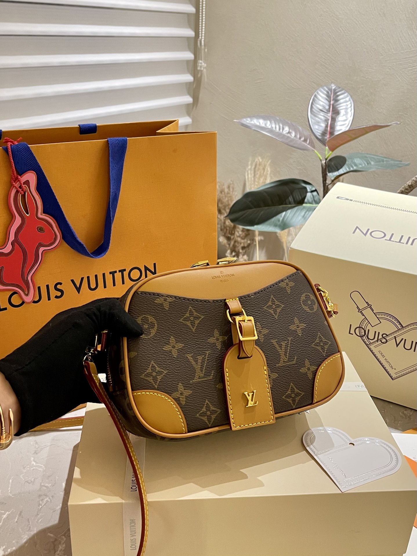 Louis Vuitton Sacs Caméra Cuir de vache