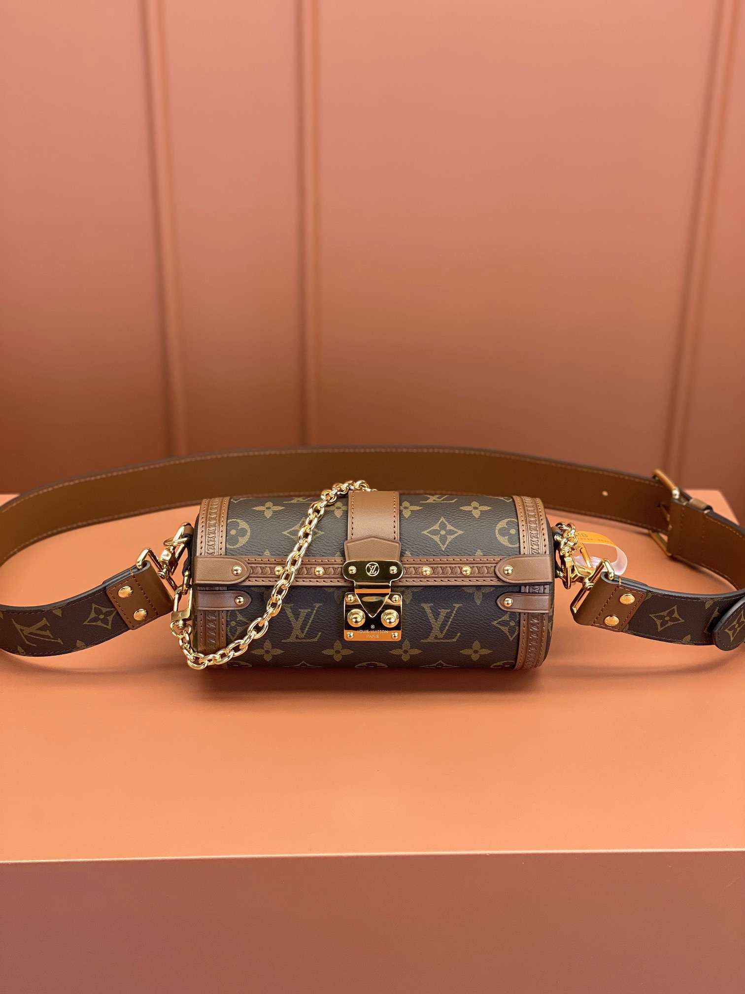 Louis Vuitton LV Papillon Trunk Magasin
 Sacs À Main Tout en acier M57835