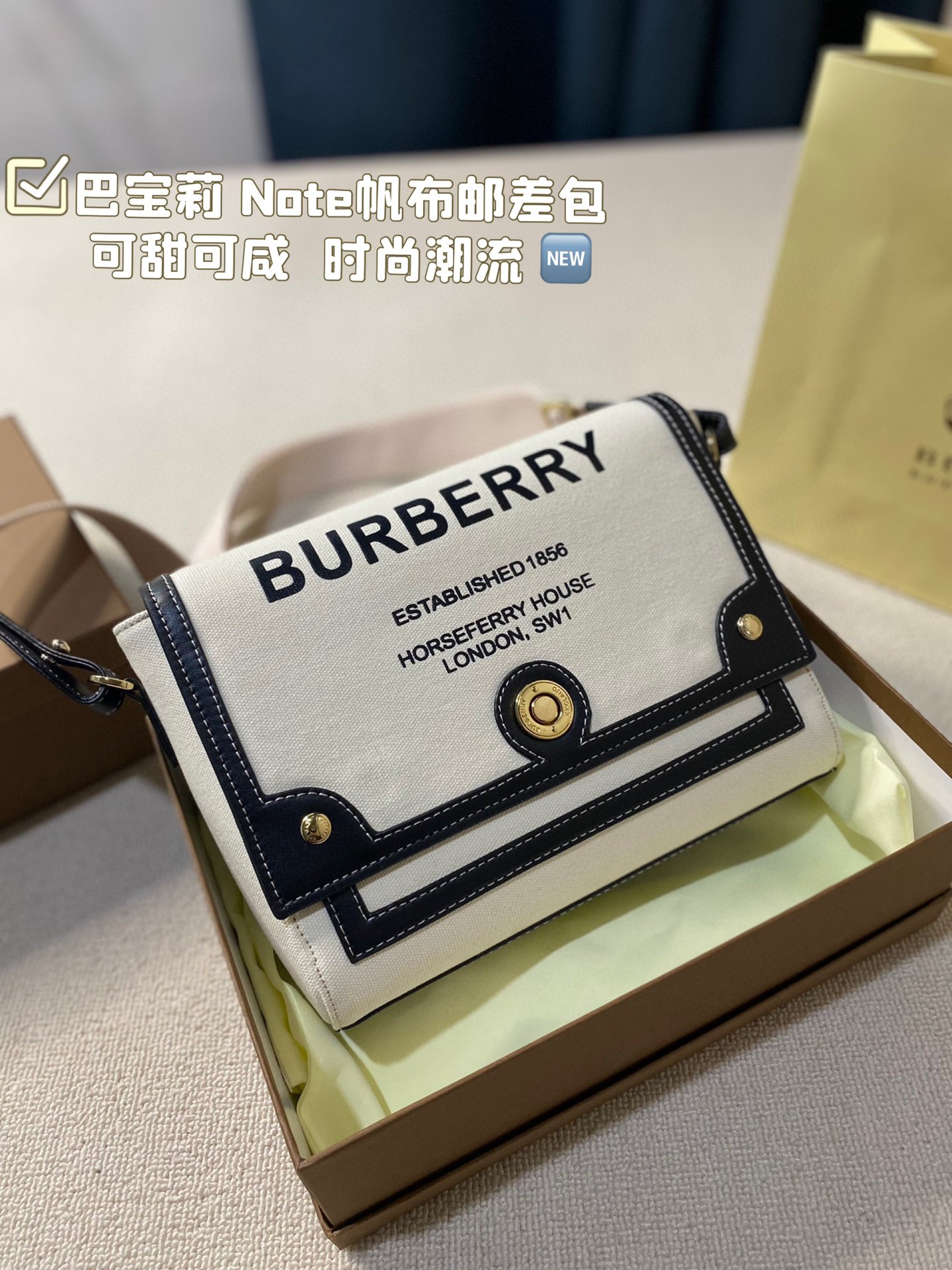 Burberry Messenger Bags Canvas Note
