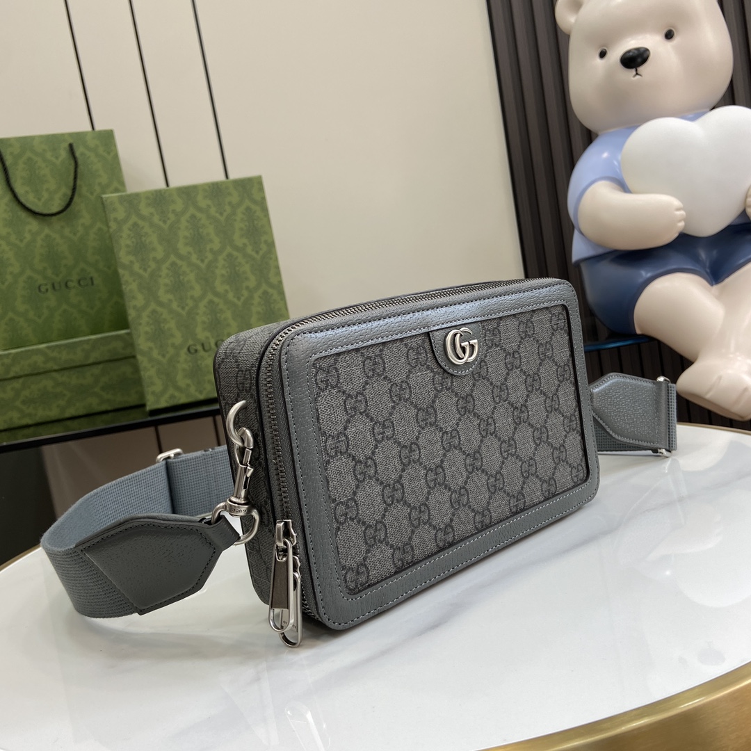 Gucci Ophidia Mini Bag - Stylish Grey PVC Designer Handbag, 23cm 5 i1704107320 127 4