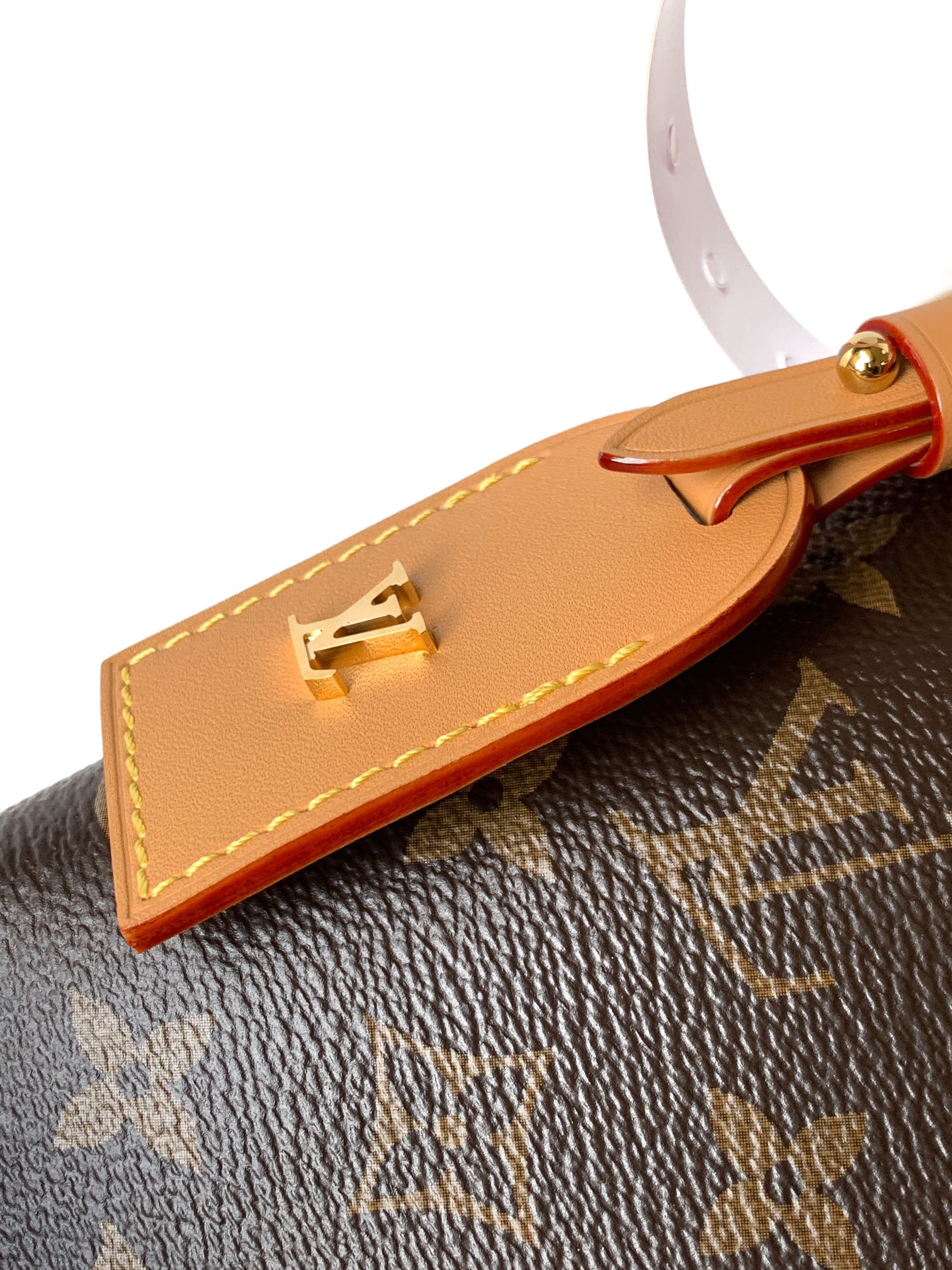 Louis Vuitton CARRYALL小号手袋